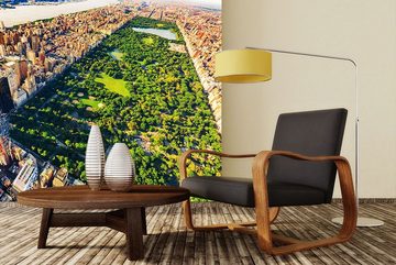WandbilderXXL Fototapete Central Park, glatt, Skyview, Vliestapete, hochwertiger Digitaldruck, in verschiedenen Größen