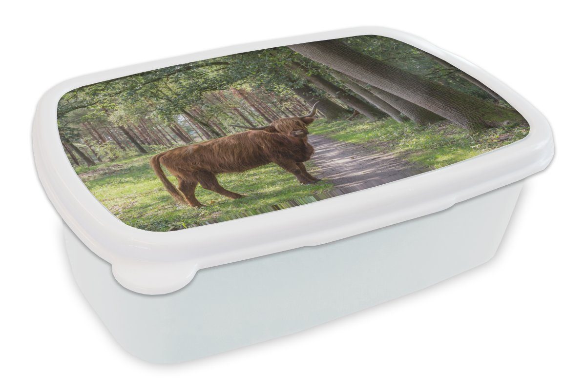 MuchoWow Lunchbox Wald - Schottischer Highlander - Licht, Kunststoff, (2-tlg), Brotbox für Kinder und Erwachsene, Brotdose, für Jungs und Mädchen weiß