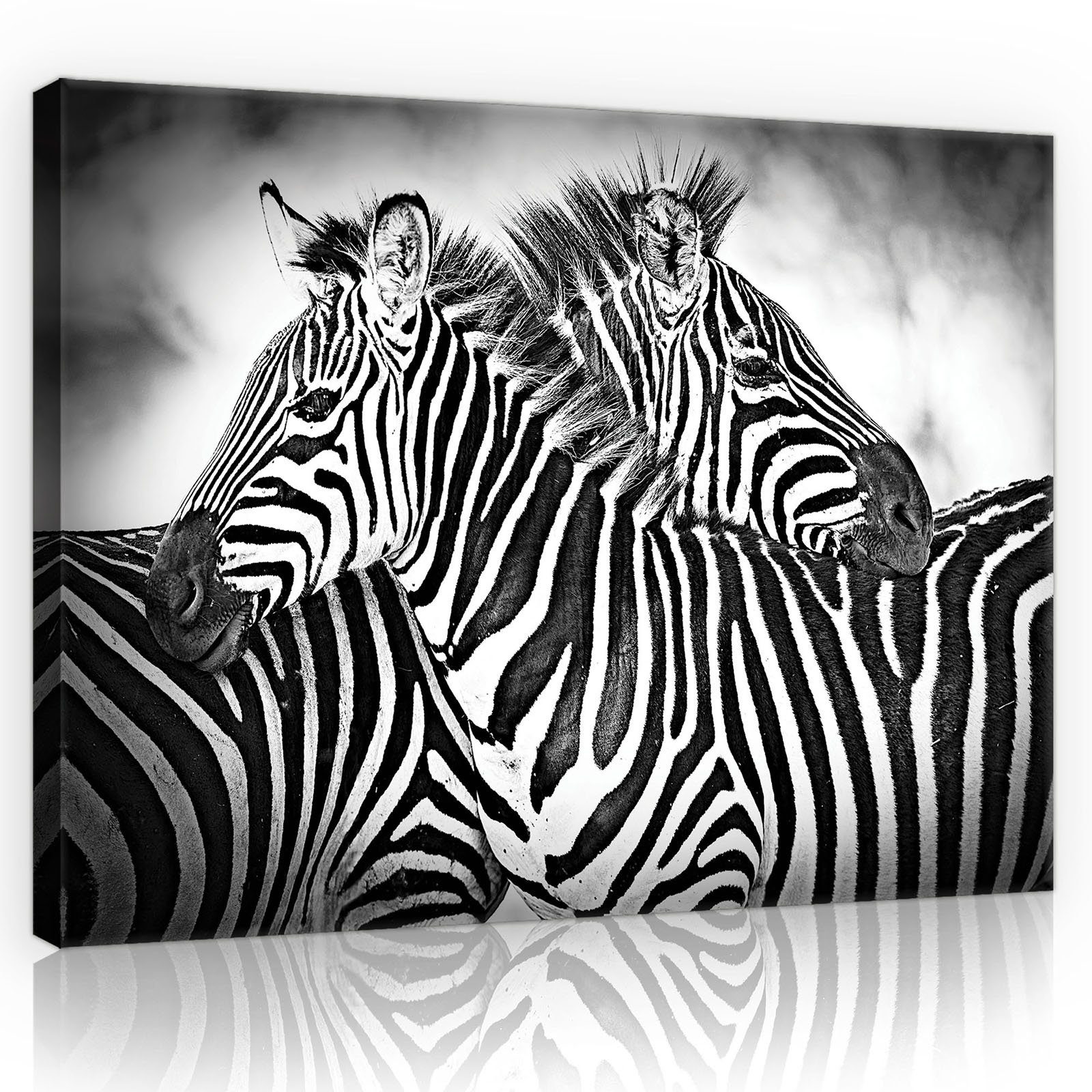 Wallarena Leinwandbild Tiere Zebra Schwarz Weiß Wandbilder Modern Groß XXL, günstig online kaufen