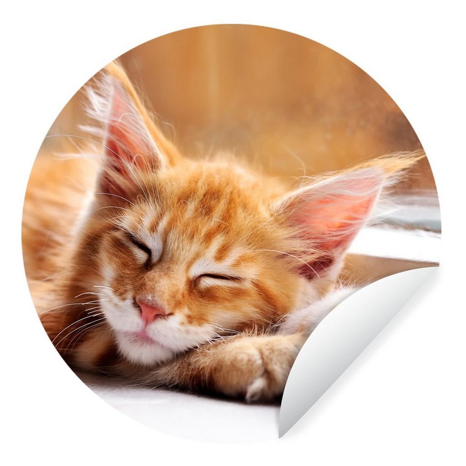 MuchoWow Wandsticker Orangefarbene Maine Coon Katze liegt auf der  Fensterbank (1 St), Tapetenkreis für Kinderzimmer, Tapetenaufkleber, Rund,  Wohnzimmer