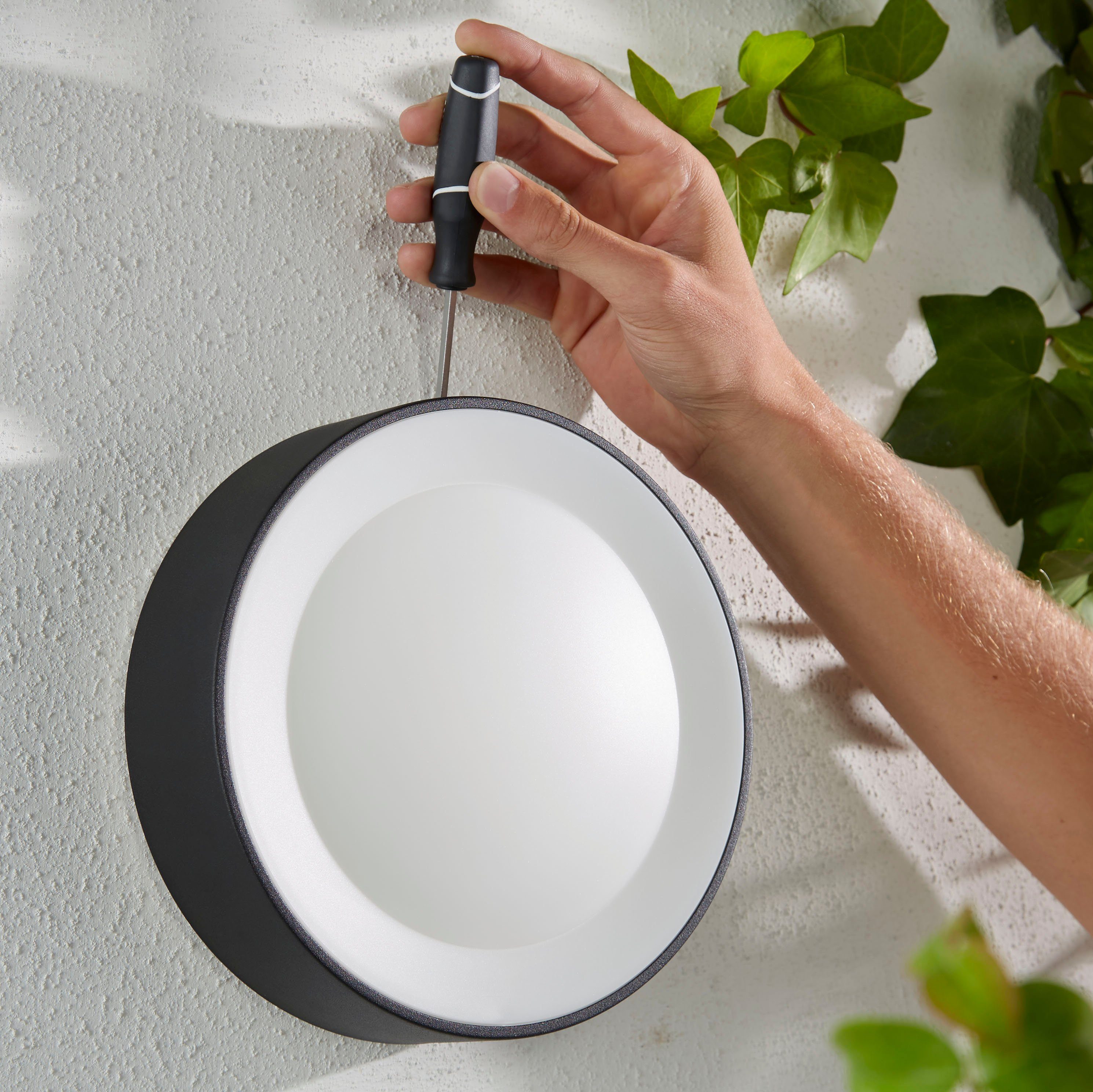 Philips Hue Daylo, integriert, fest LED Farbwechsler Home, schwarz Farbsteuerung, Außen-Wandleuchte Smart Dimmfunktion, LED Timerfunktion