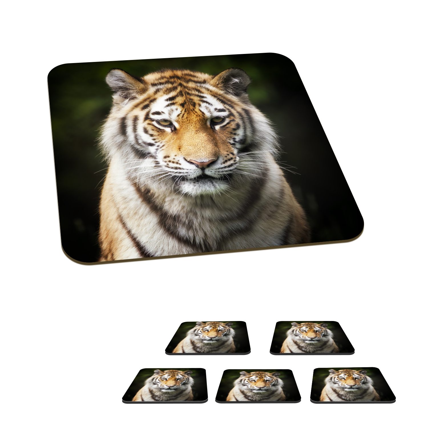 MuchoWow Glasuntersetzer Tiger - Tiere - Natur, Zubehör für Gläser, 6-tlg., Glasuntersetzer, Tischuntersetzer, Korkuntersetzer, Untersetzer, Tasse