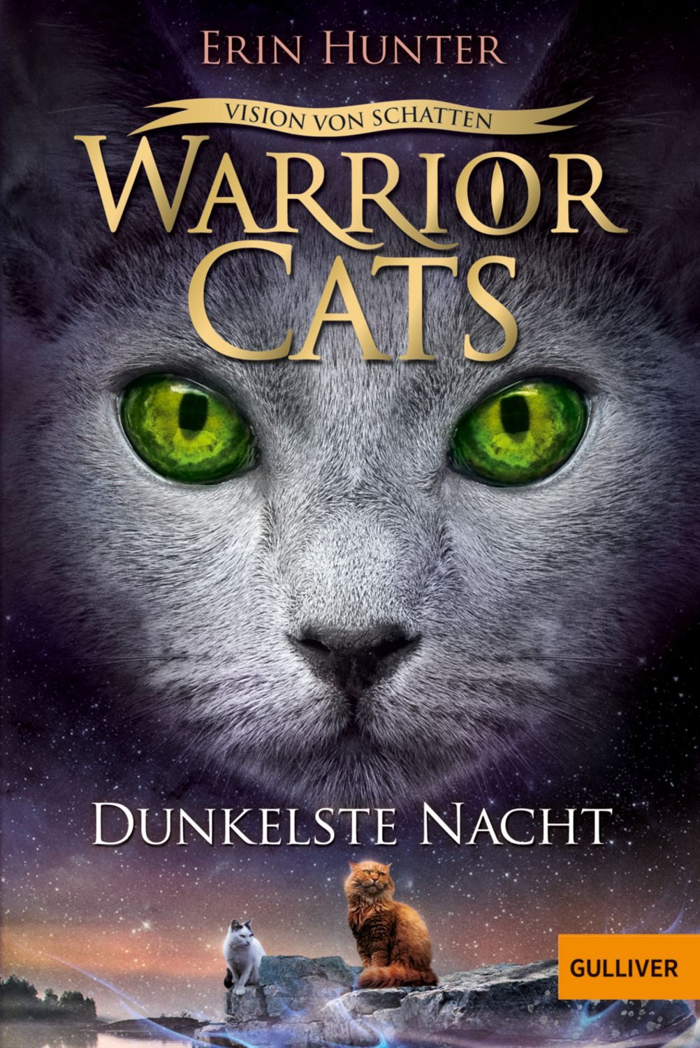 Warrior Cats - Vision von Schatten. Dunkelste Nacht / Erin Hunter