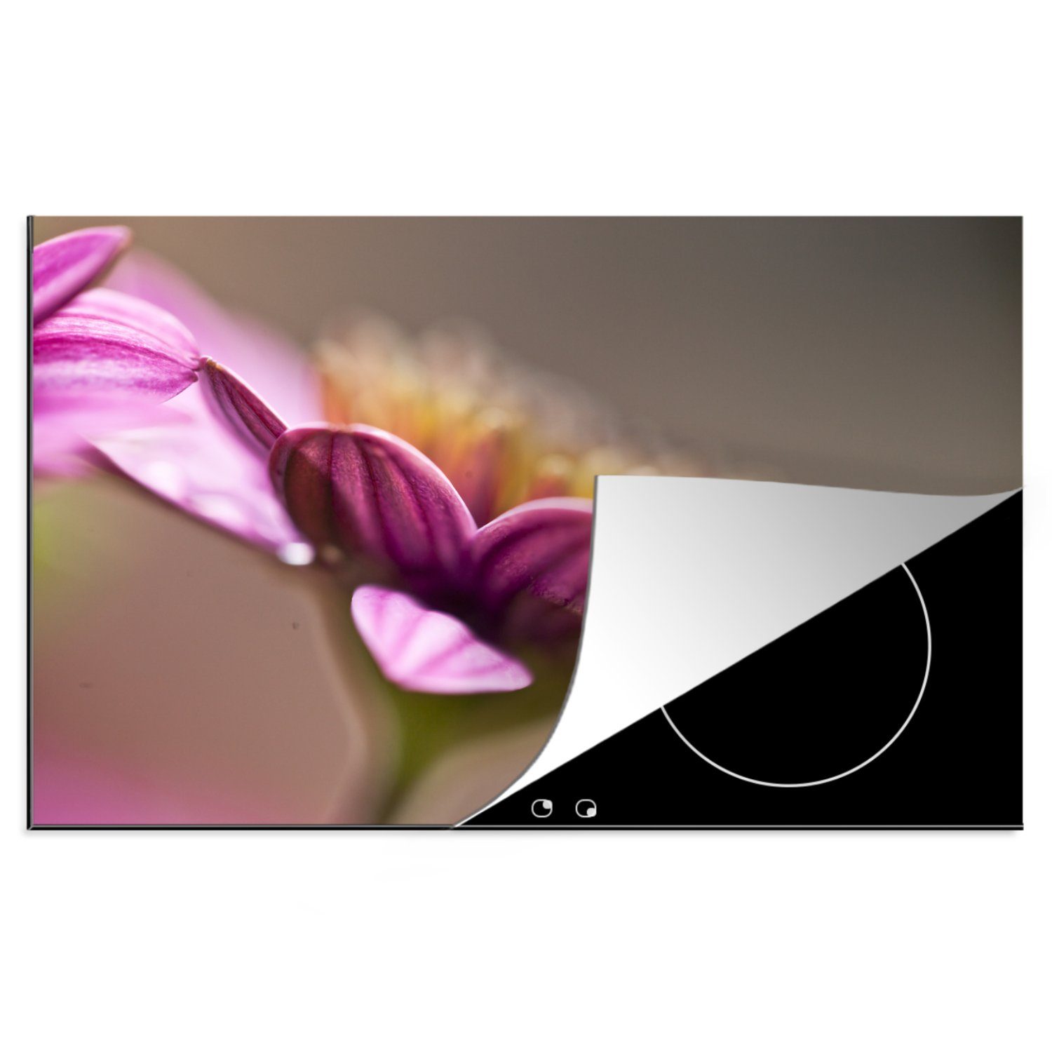 Blüte für die tlg), Ceranfeldabdeckung rosa Nahaufnahme cm, küche, 81x52 (1 MuchoWow Induktionskochfeld einer Zinnie, einer Schutz Vinyl, Herdblende-/Abdeckplatte