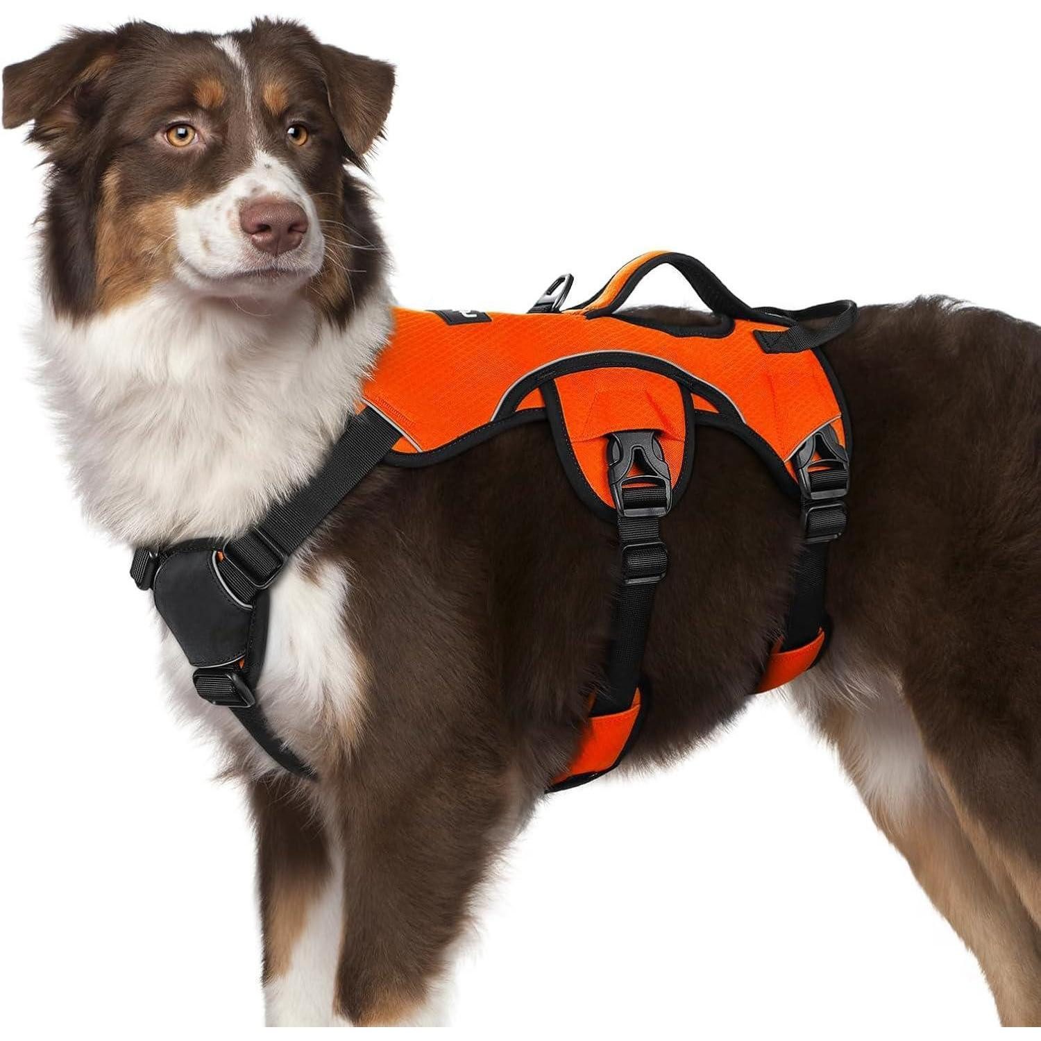 LuxusKollektion Hunde-Sicherheitsgeschirr Hundegeschirr Brustgeschirr Anti Zug Gepolstert M (1er Pack) Orange