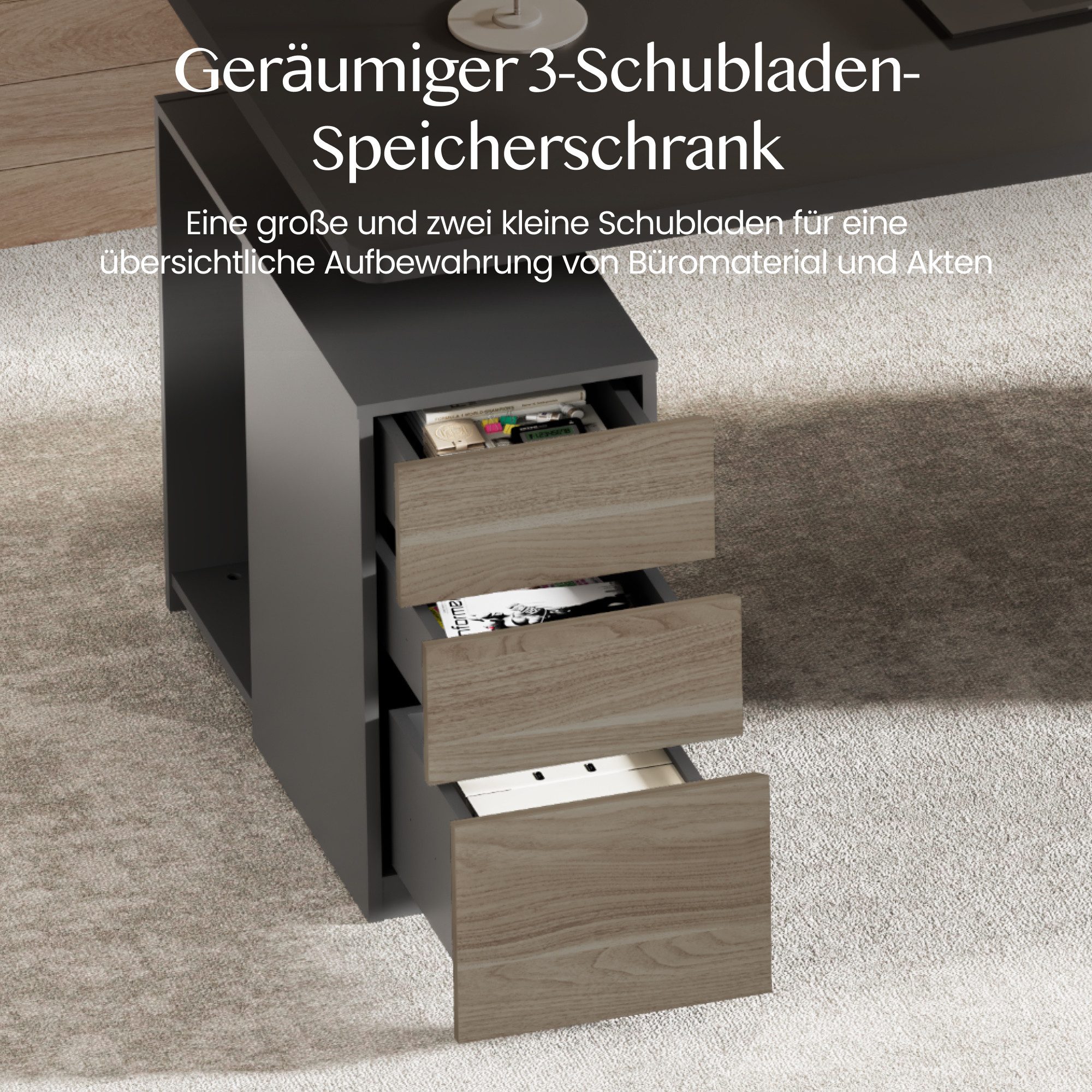 FLEXISPOT Schreibtisch Elektrischer Höhenverstellbarer Schreibtisch mit Bein-Schrank Set (2 Motoren,höhenverstellbar 70–119 cm,4 Speicherhöhen, 25 mm Tischplatt – Bild 4 von 5