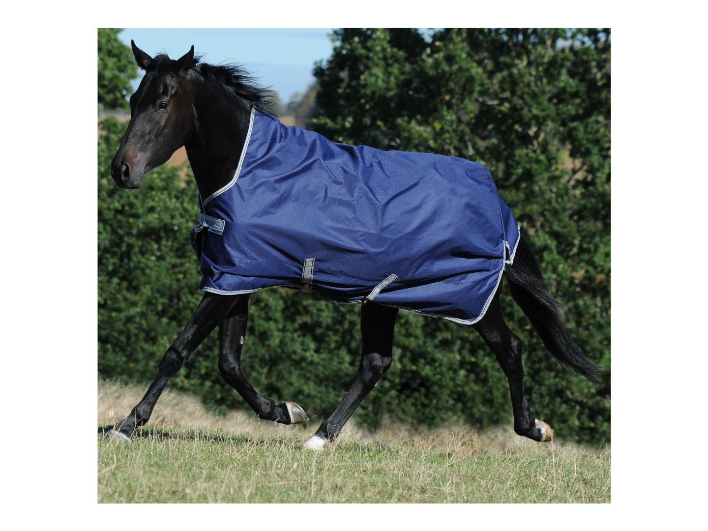 Bucas Ausreitdecke Outdoordecke Freedom High Neck 150g in Navy/Silber