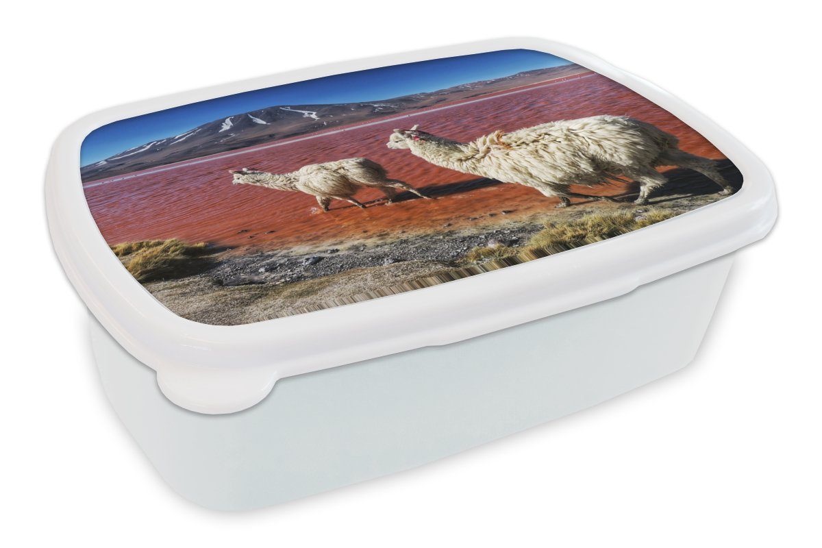 MuchoWow Lunchbox Alpakas - Rot - Berg, Kunststoff, (2-tlg), Brotbox für Kinder und Erwachsene, Brotdose, für Jungs und Mädchen weiß