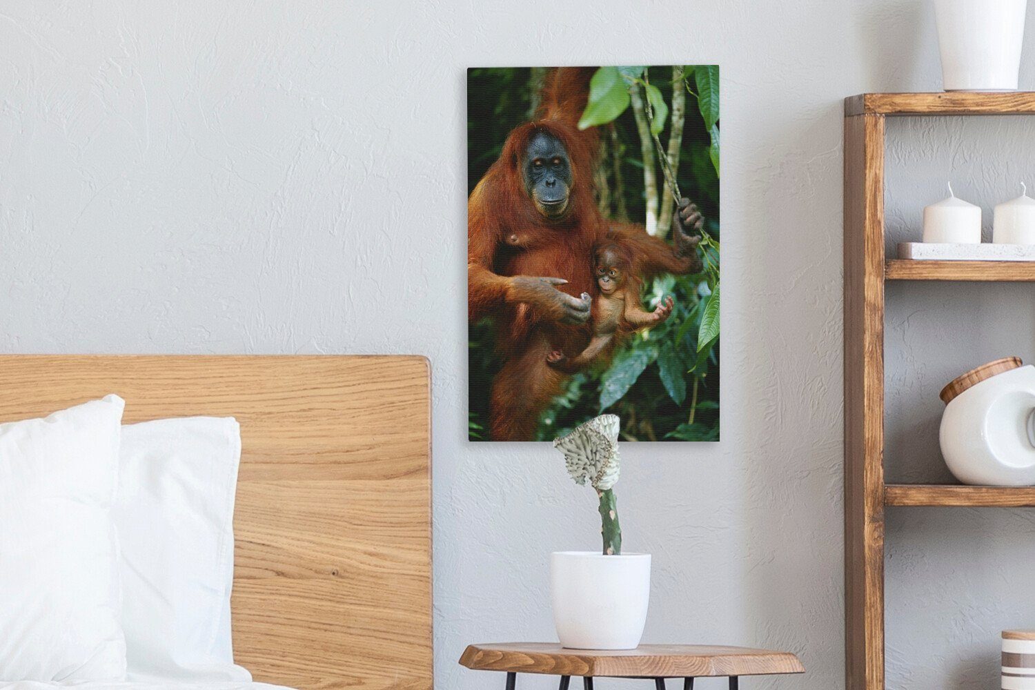 Gemälde, St), Ein bespannt OneMillionCanvasses® roter auf 20x30 inkl. einem (1 Orang-Utan Leinwandbild Zackenaufhänger, cm fertig Baum, Leinwandbild