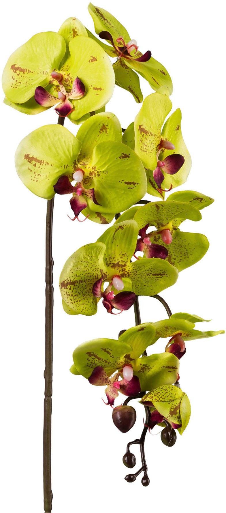 Kunstpflanze Orchidee, Creativ green, Höhe 98 cm, 3er Set günstig online kaufen