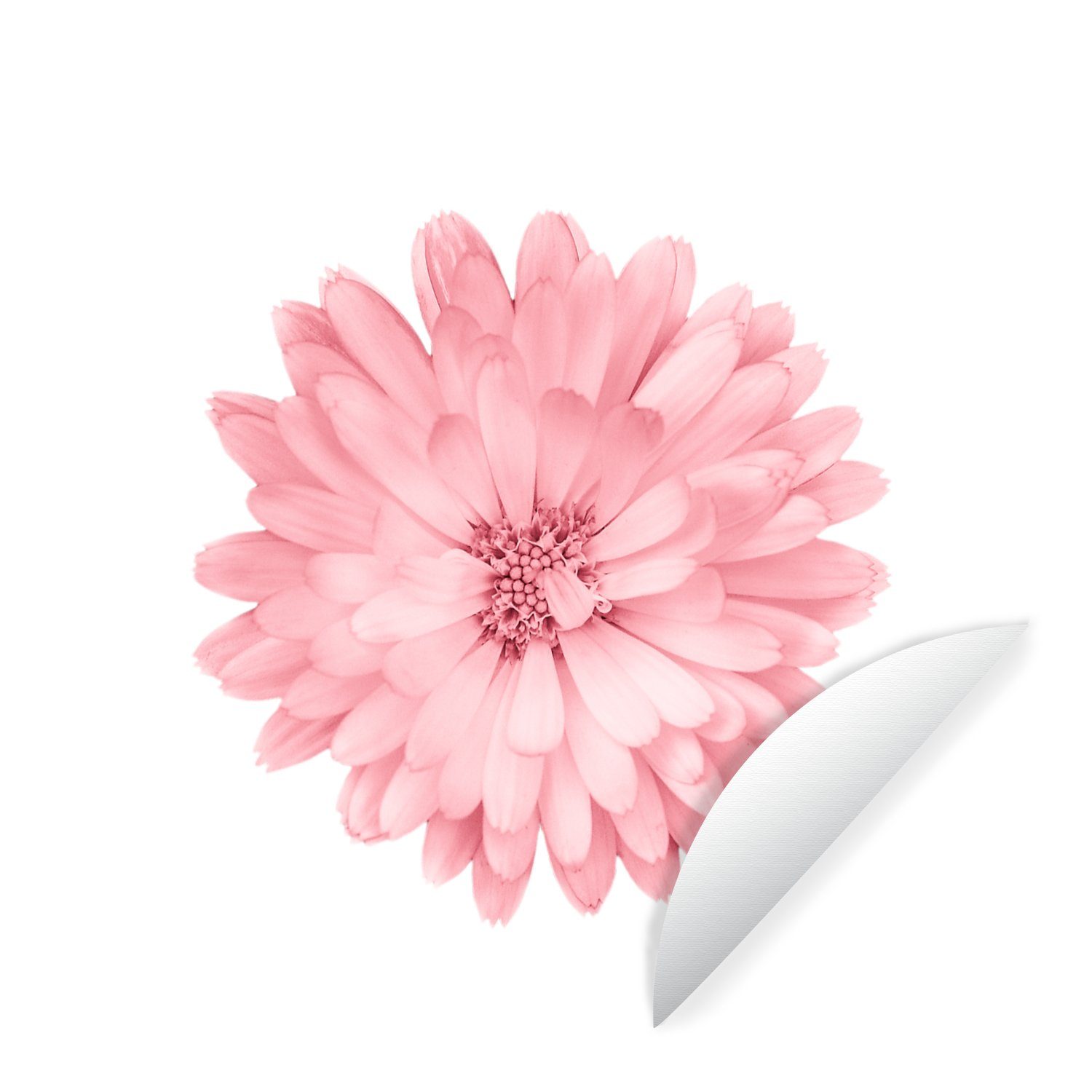 MuchoWow Wandsticker Blumen Kinderzimmer, Kamille Tapetenkreis Rosa (1 - für Rund, Tapetenaufkleber, St), - Wohnzimmer