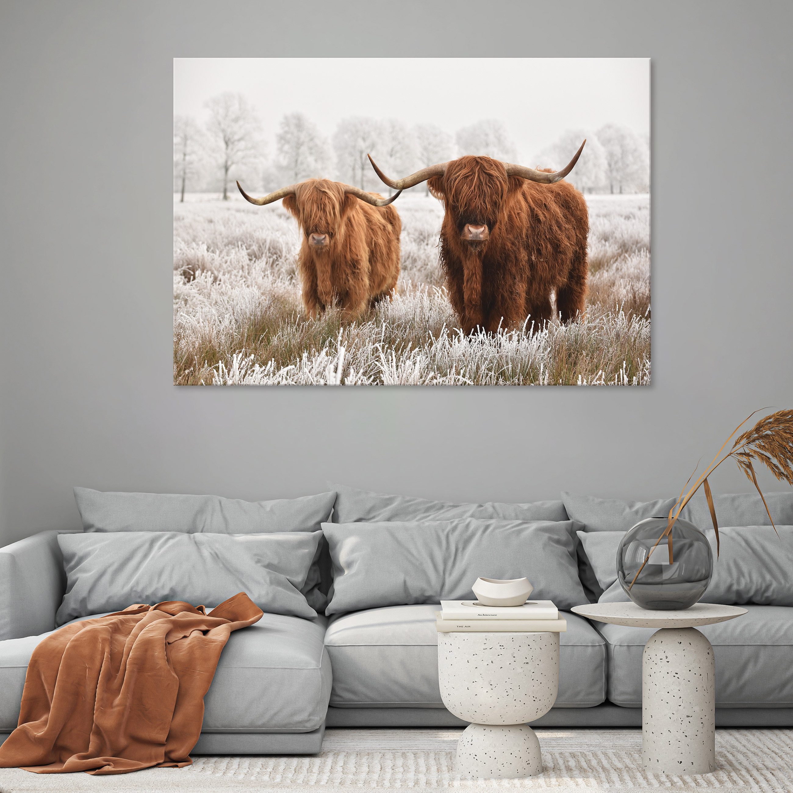 Wallarena Leinwandbild Schottische Kuh Tier Natur Modern Wandbilder Wand De günstig online kaufen