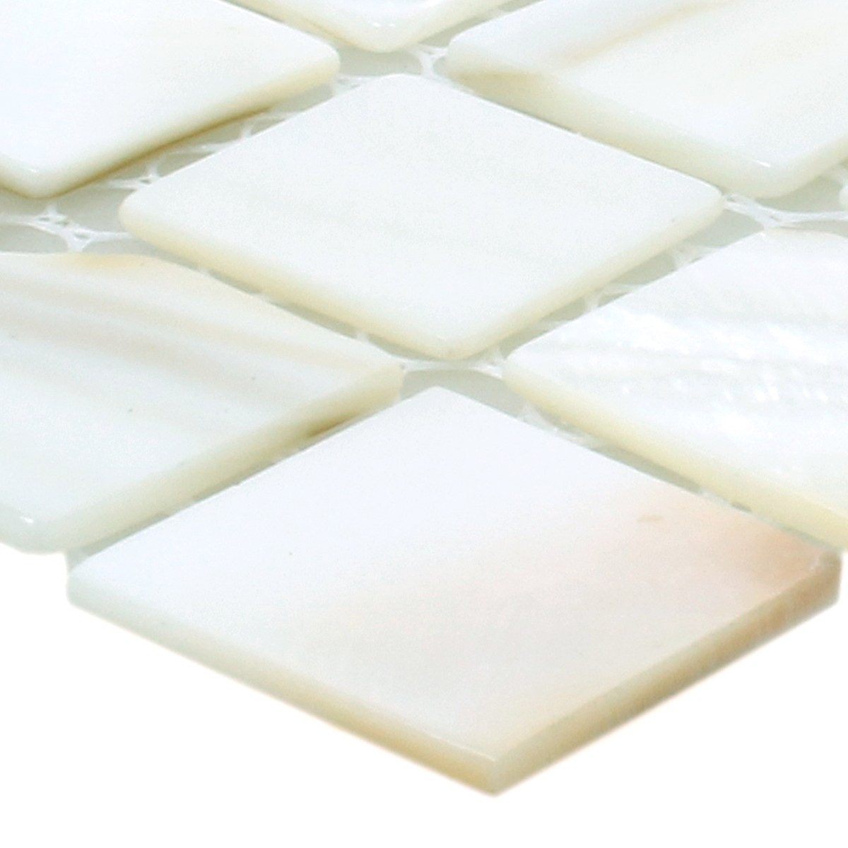 Mosafil Mosaikfliesen Muster von Mosaikfliesen Muschel Kordon, Muschel-Perlmutt 10.000x10.000, weiß, Verlegefertig auf ein Netz geklebt - Wasserfest