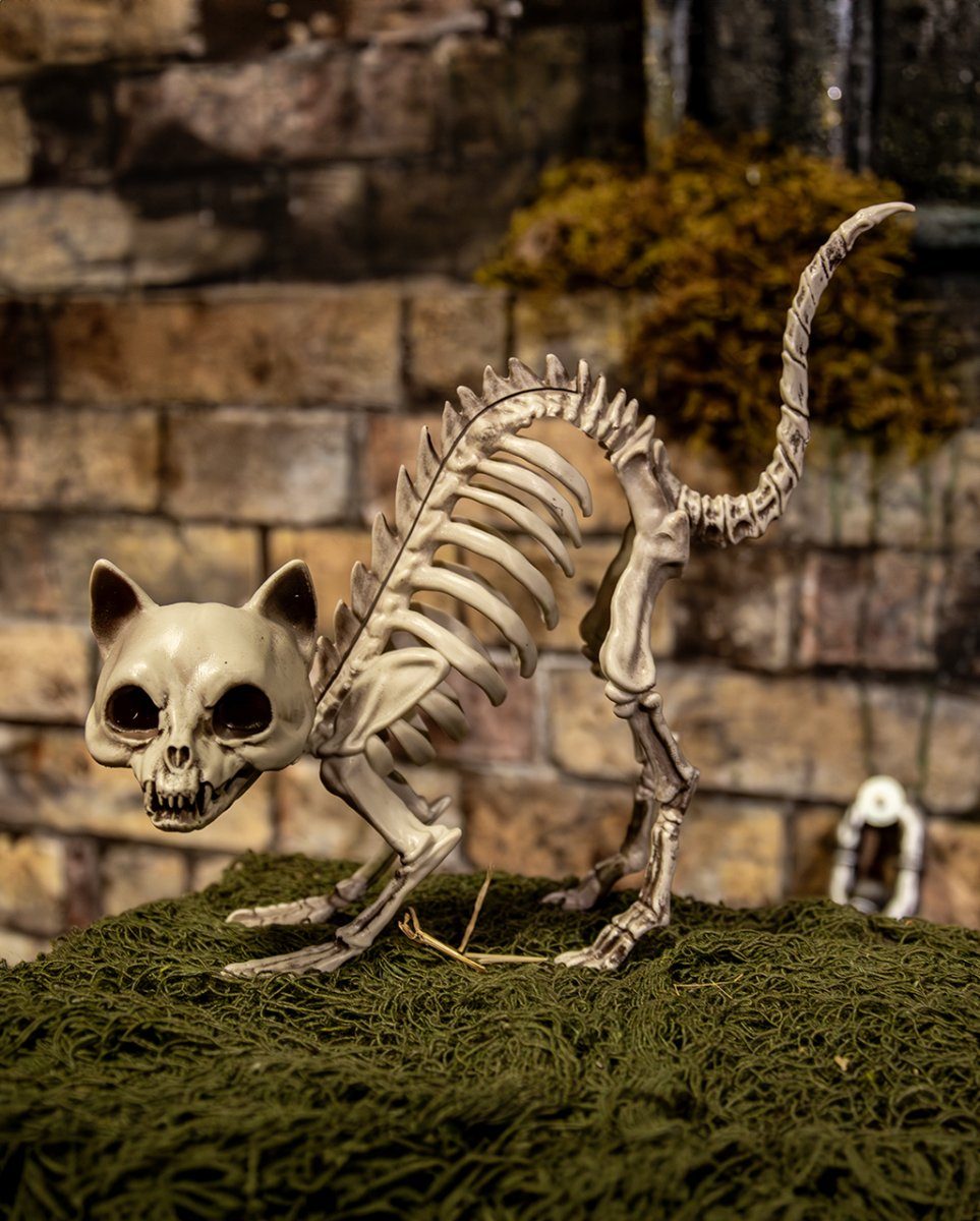 Horror-Shop Dekofigur Katzenbuckel mit Katzenskelett als Knochengerippe