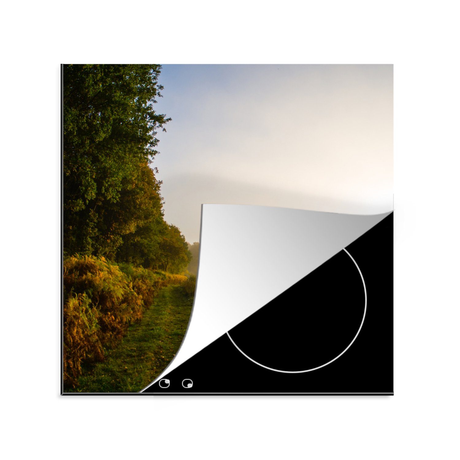 MuchoWow Herdblende-/Abdeckplatte Belgien - Wald - Sonne, Vinyl, (1 tlg), 78x78 cm, Ceranfeldabdeckung, Arbeitsplatte für küche