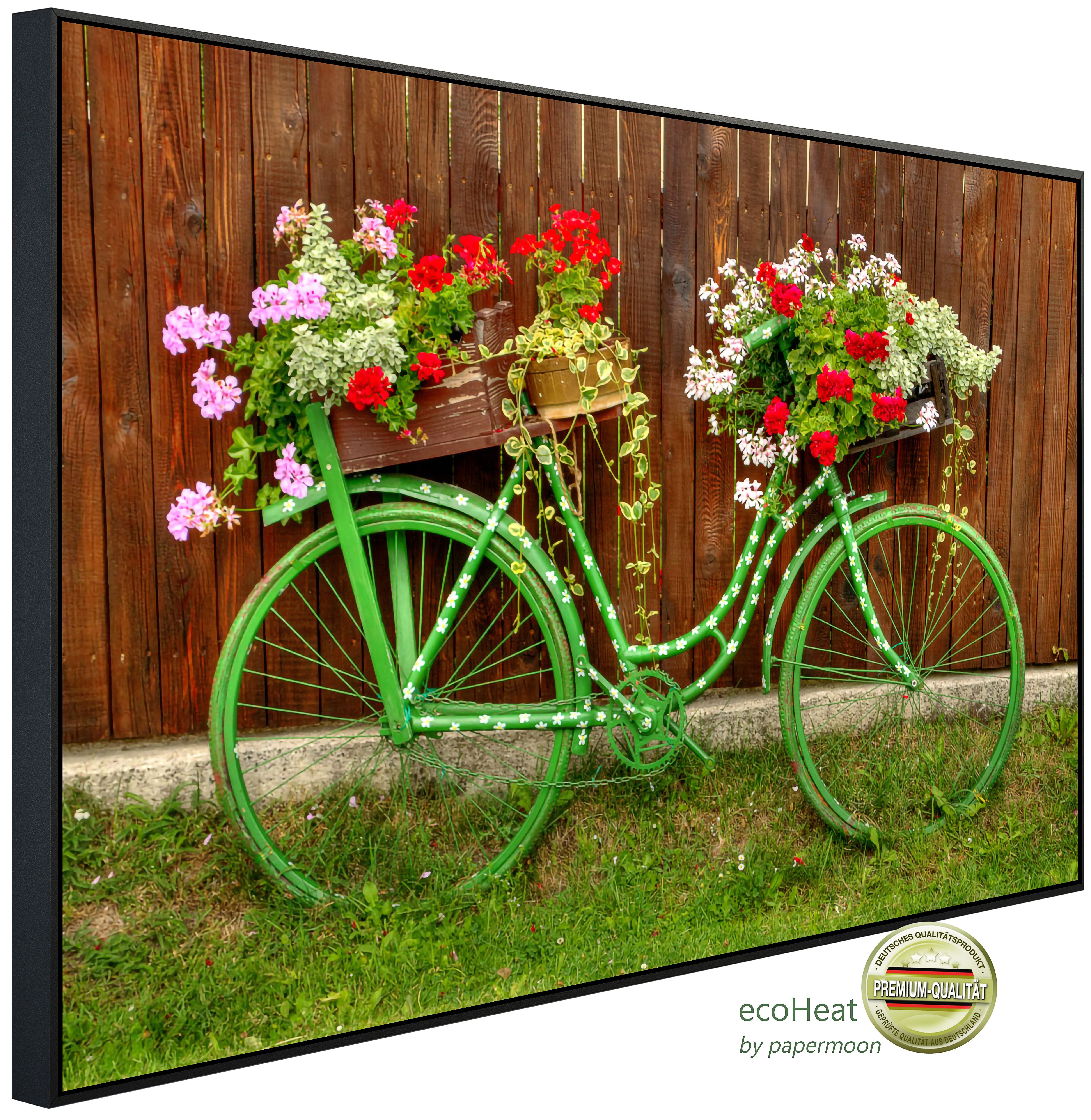 Infrarotheizung INFRAROT-BILD-HEIZUNG, Vintage Fahrrad