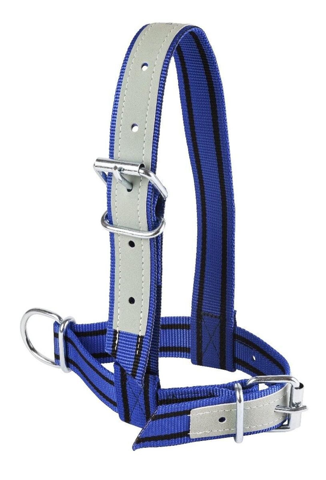 Horizont Tier-Halsband KAMER Nylon-Kälberhalfter lederverstärkt blau