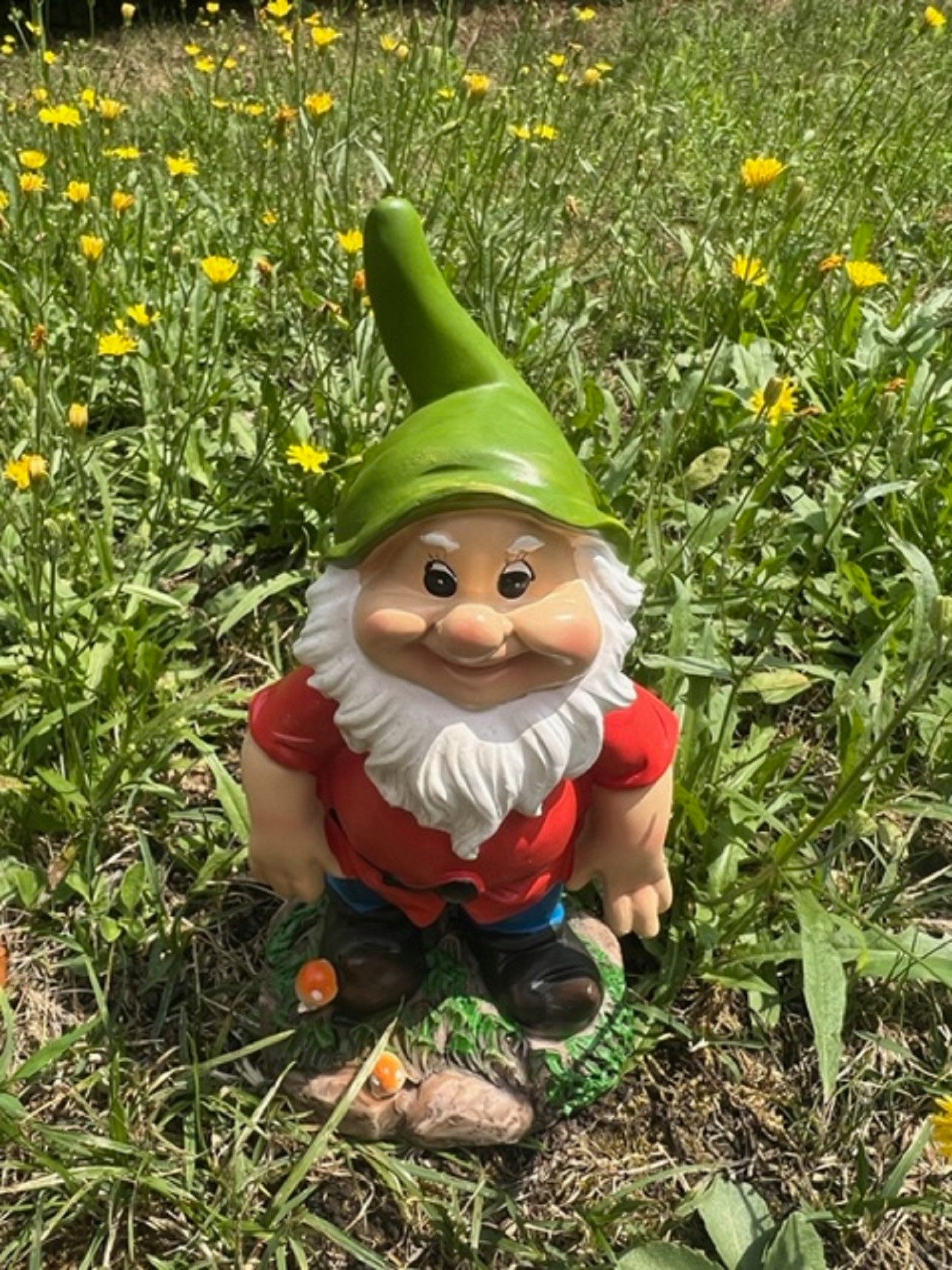 Geschenk-Himmel Gartenzwerg 4 Lustige Gartenzwerge Zwerge GNOME Gartenzwerg Gartenfigur Zwerg