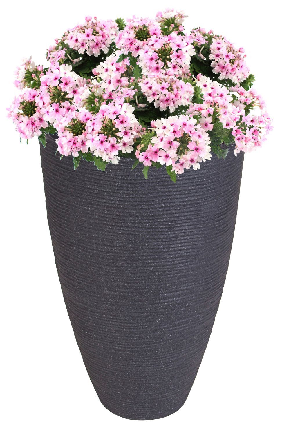 Jelenia Plast Pflanzkübel Rillentopf anthrazit Pflanzkübel Blumentopf Vase Terrasse Balkon