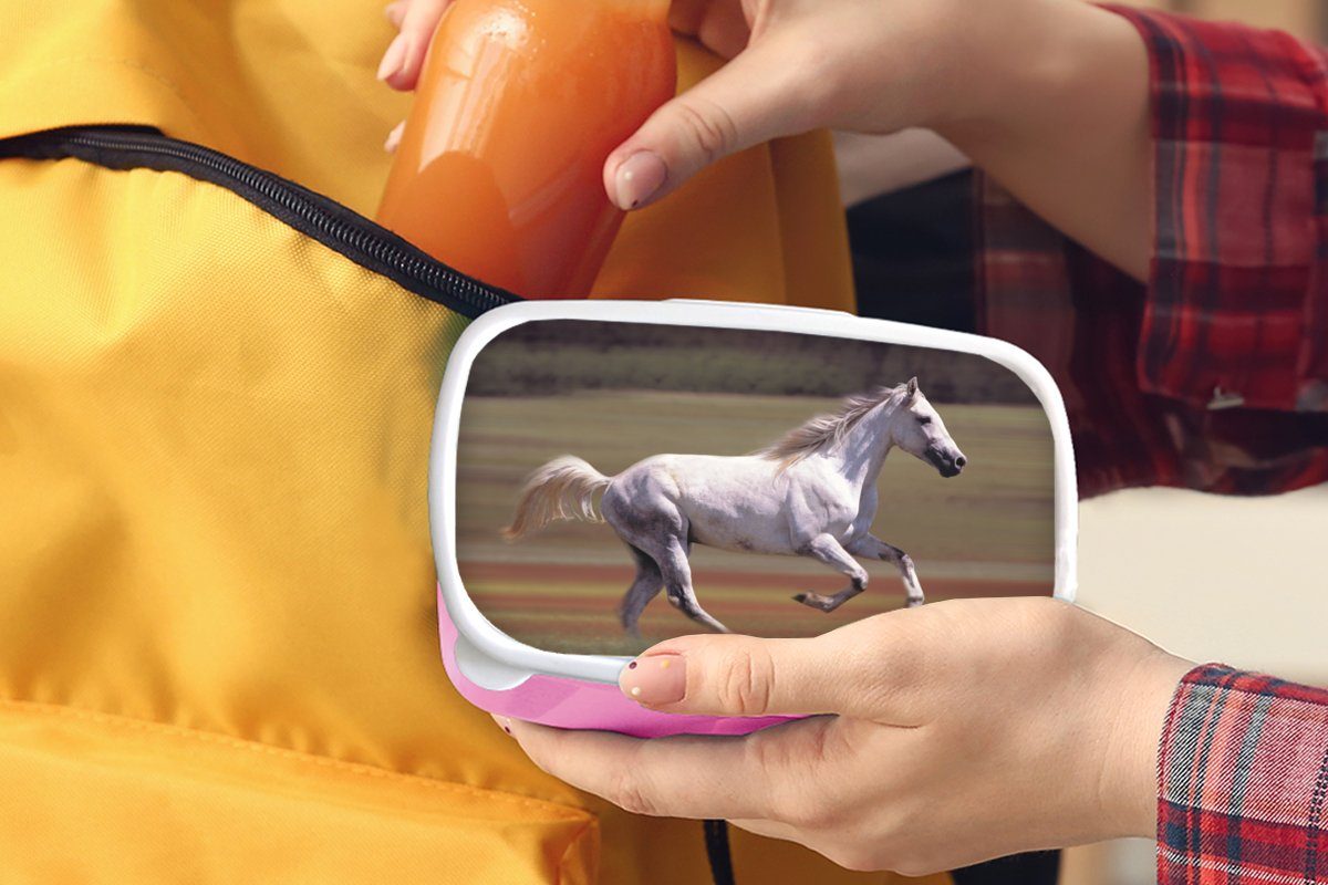 MuchoWow Lunchbox Pferd - Licht Mädchen, Kunststoff, Erwachsene, (2-tlg), - Kunststoff rosa Kinder, für Gras, Brotbox Snackbox, Brotdose