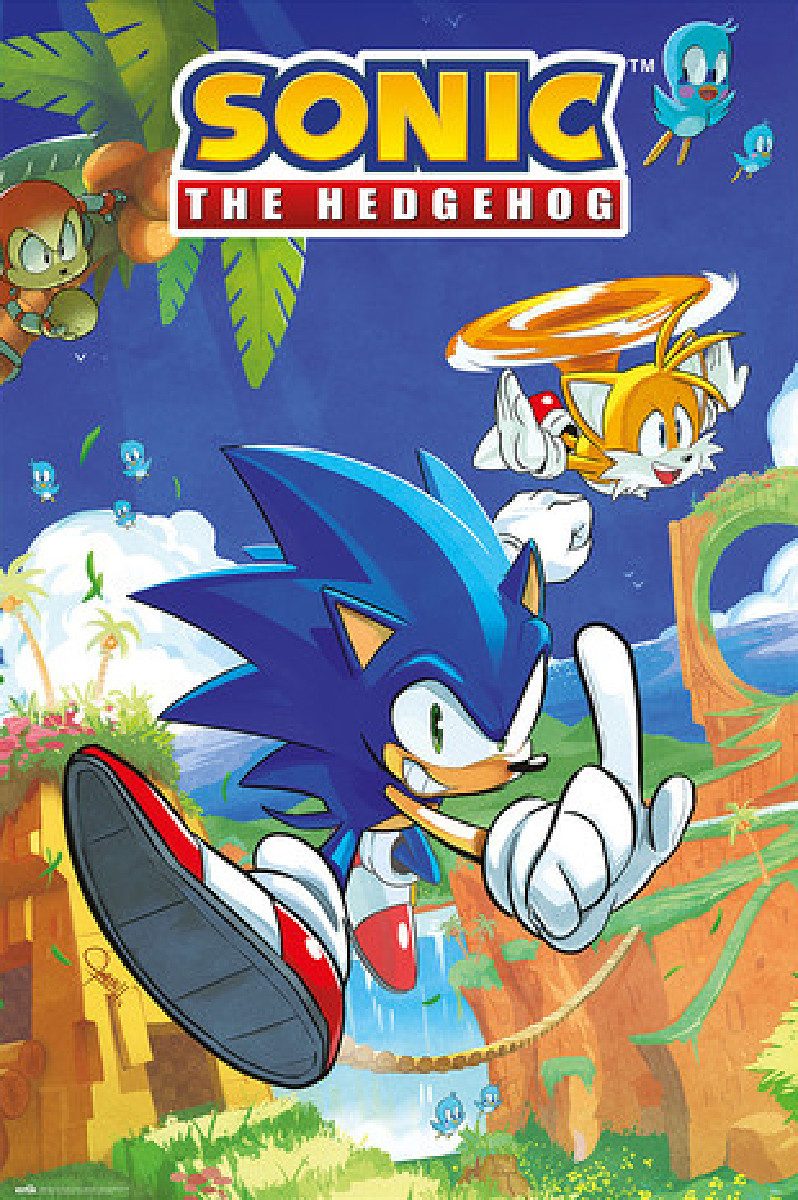 Grupo Erik Poster Sonic the Hedgehog Poster Sonic & Tails 61 x 91,5 cm
