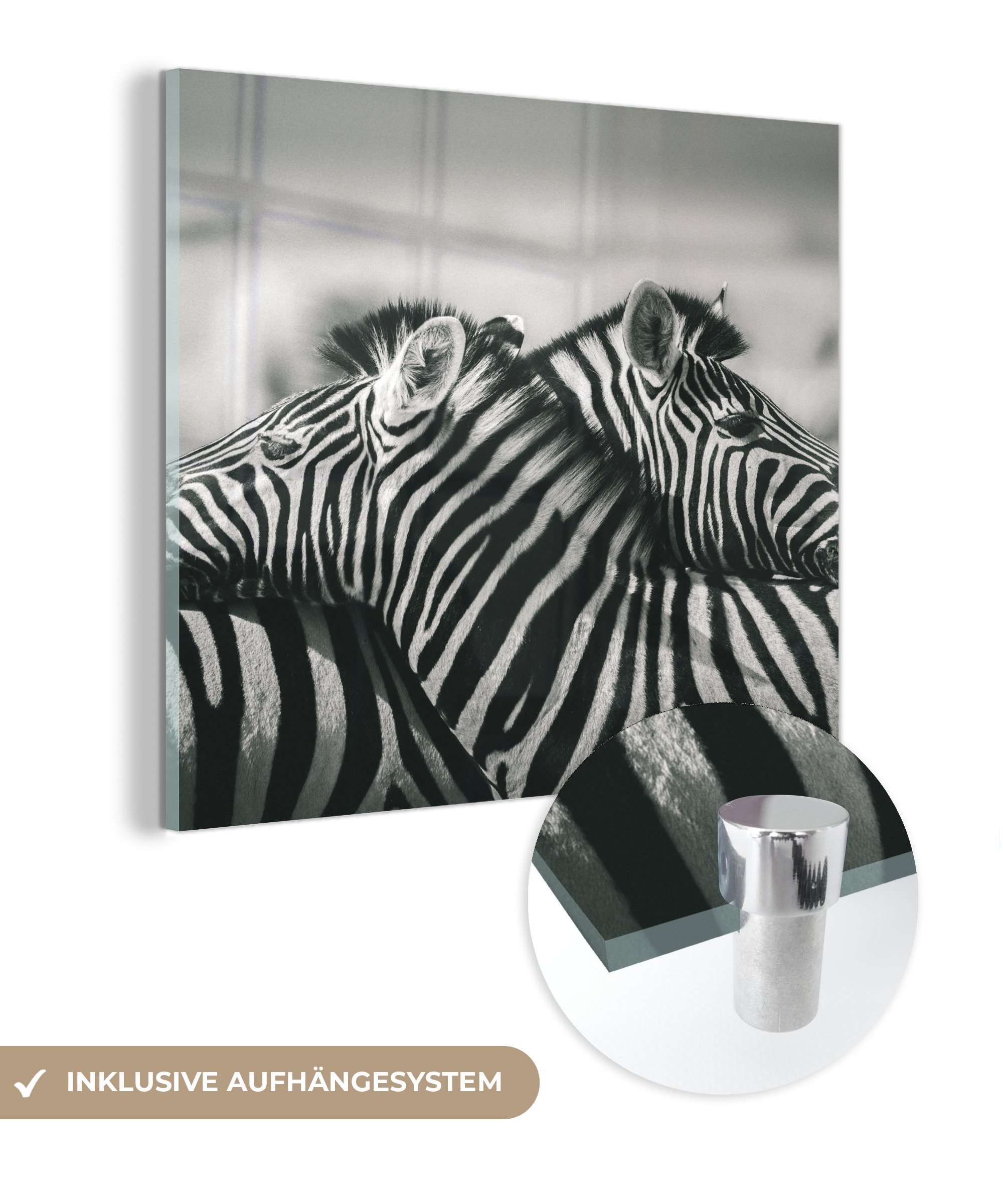 MuchoWow Acrylglasbild Kuschelige - Wanddekoration Bilder St), - Wandbild - Zebras, Glasbilder auf Glas (1 Glas Foto auf