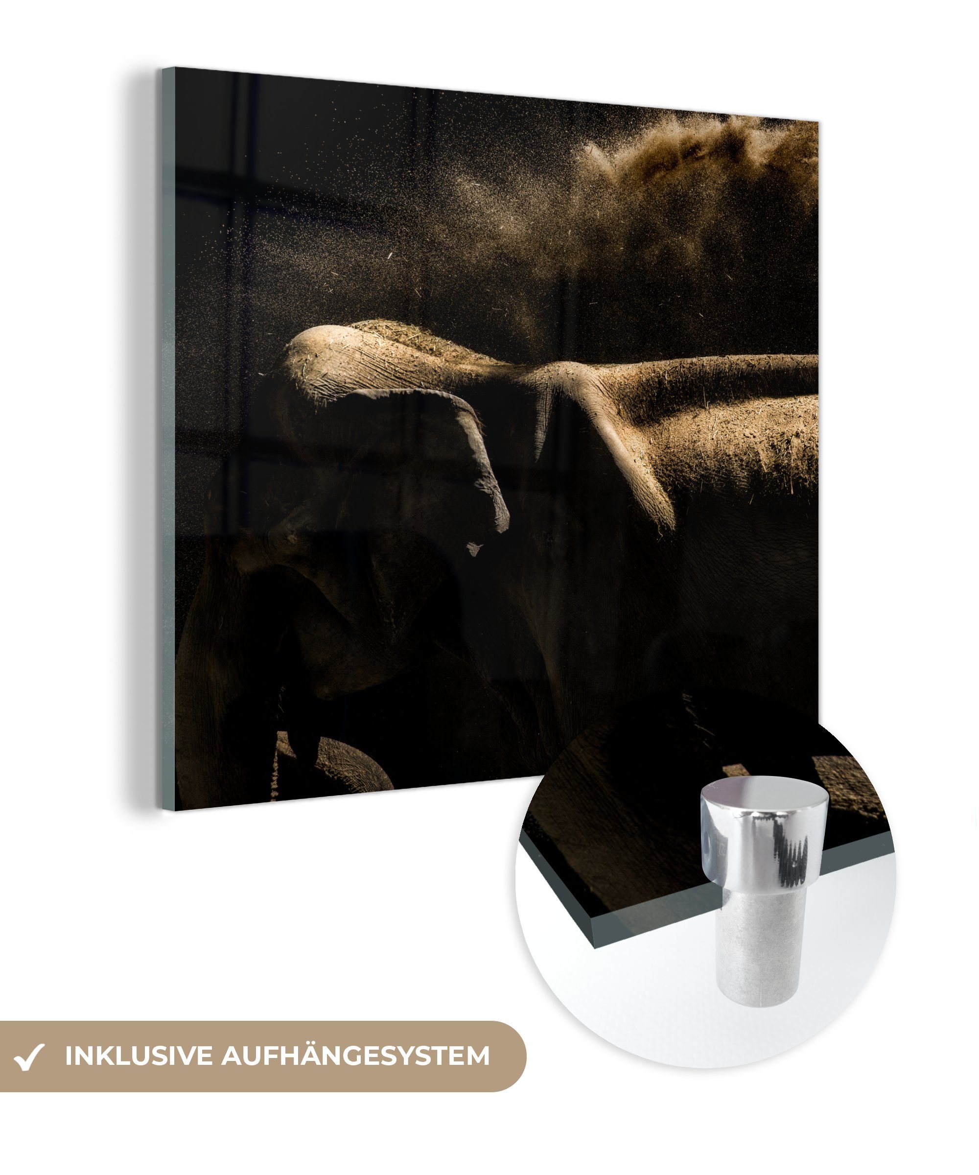 MuchoWow Acrylglasbild Elefant - Schlamm - Tiere - Schwarz, (1 St), Glasbilder - Bilder auf Glas Wandbild - Foto auf Glas - Wanddekoration