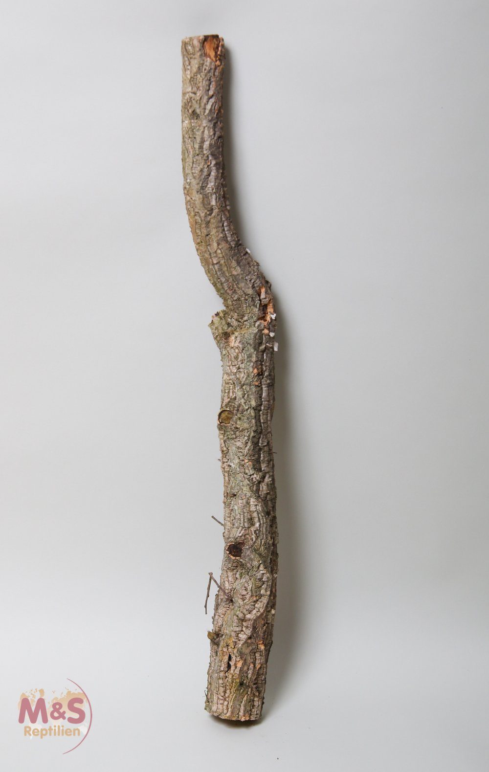 M&S Reptilien Terrarium Zierkork Tronchos -einfach- ca. 80-100 cm (bis 1 kg)