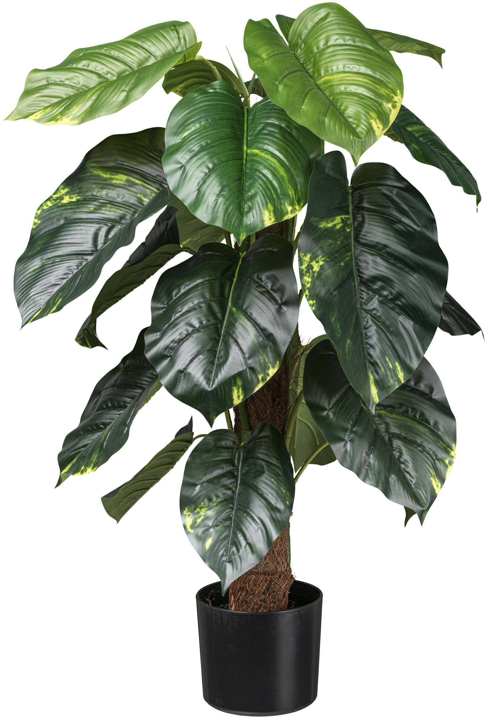 Künstliche Zimmerpflanze Philodendron Scandens Grünpflanze, Creativ günstig online kaufen