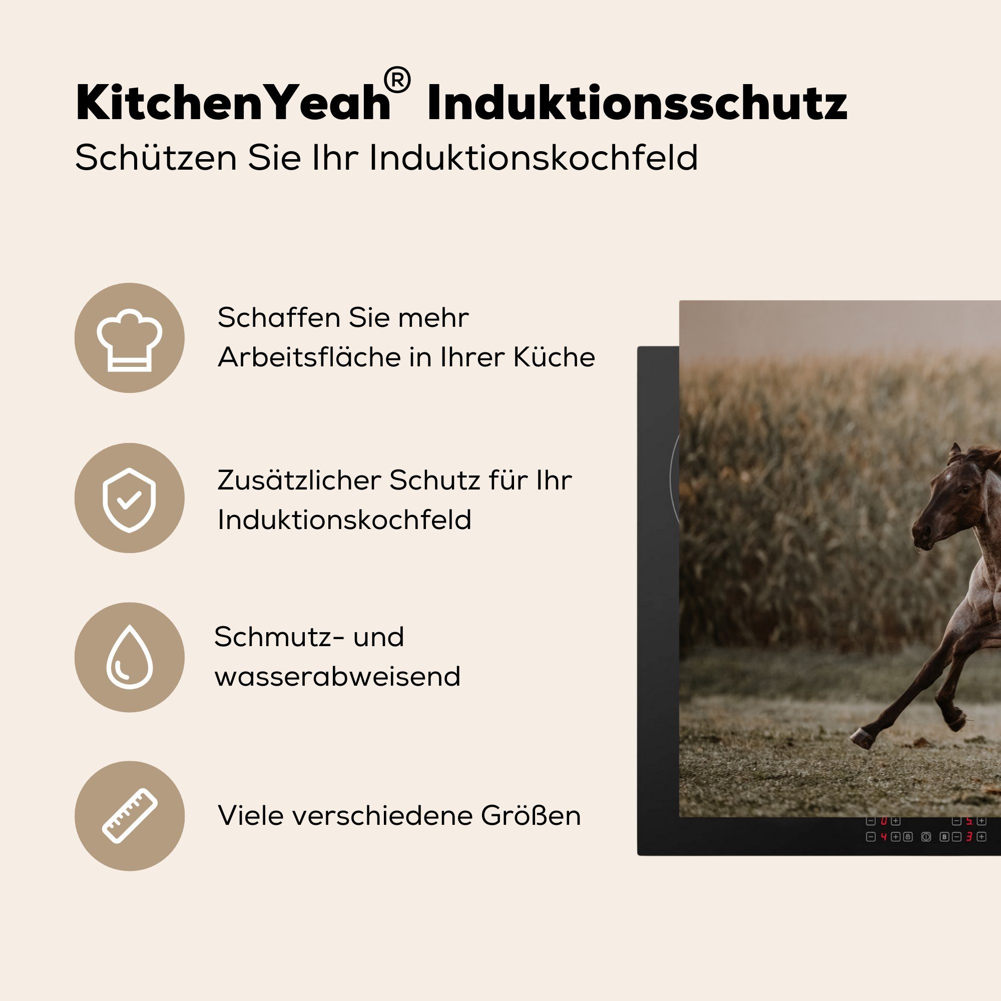 Induktionskochfeld tlg), für - cm, (1 küche, Schutz Gras, MuchoWow 81x52 Pferd Sand - Vinyl, Ceranfeldabdeckung die Herdblende-/Abdeckplatte