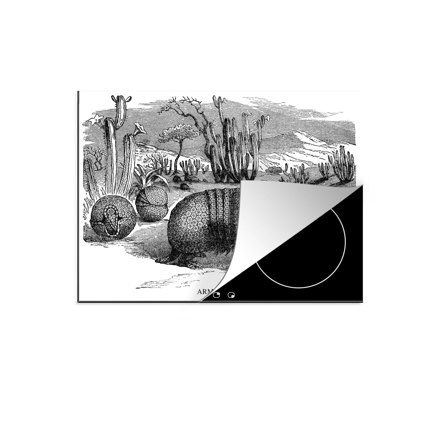 MuchoWow eines Eine tlg), der Gürteltiers (1 cm, Wüste, Arbeitsfläche nutzbar, Herdblende-/Abdeckplatte 70x52 Illustration Mobile Vinyl, Ceranfeldabdeckung in