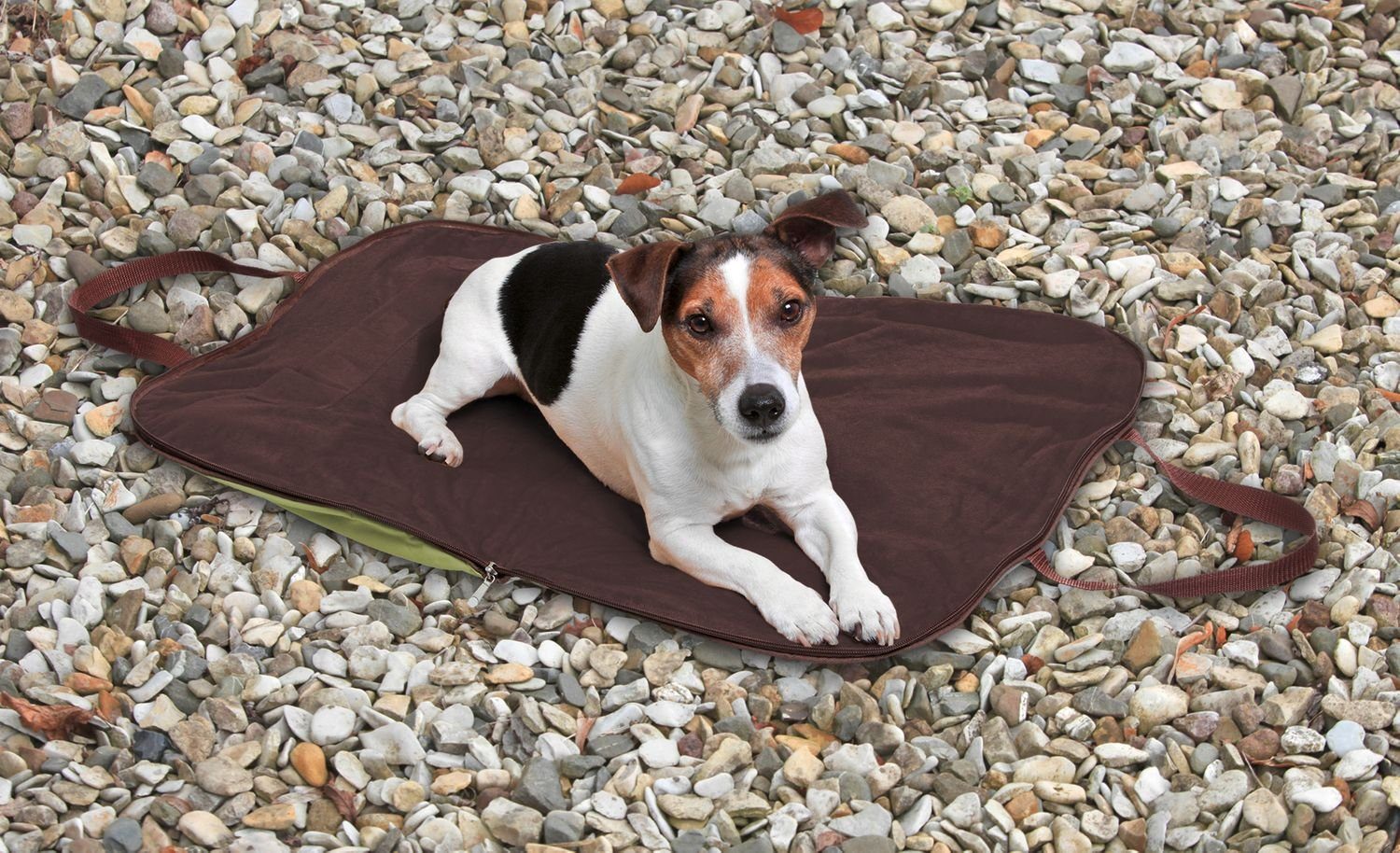 WENKO Tierbett WENKO tragbare Hundedecke Hundebett günstig online kaufen