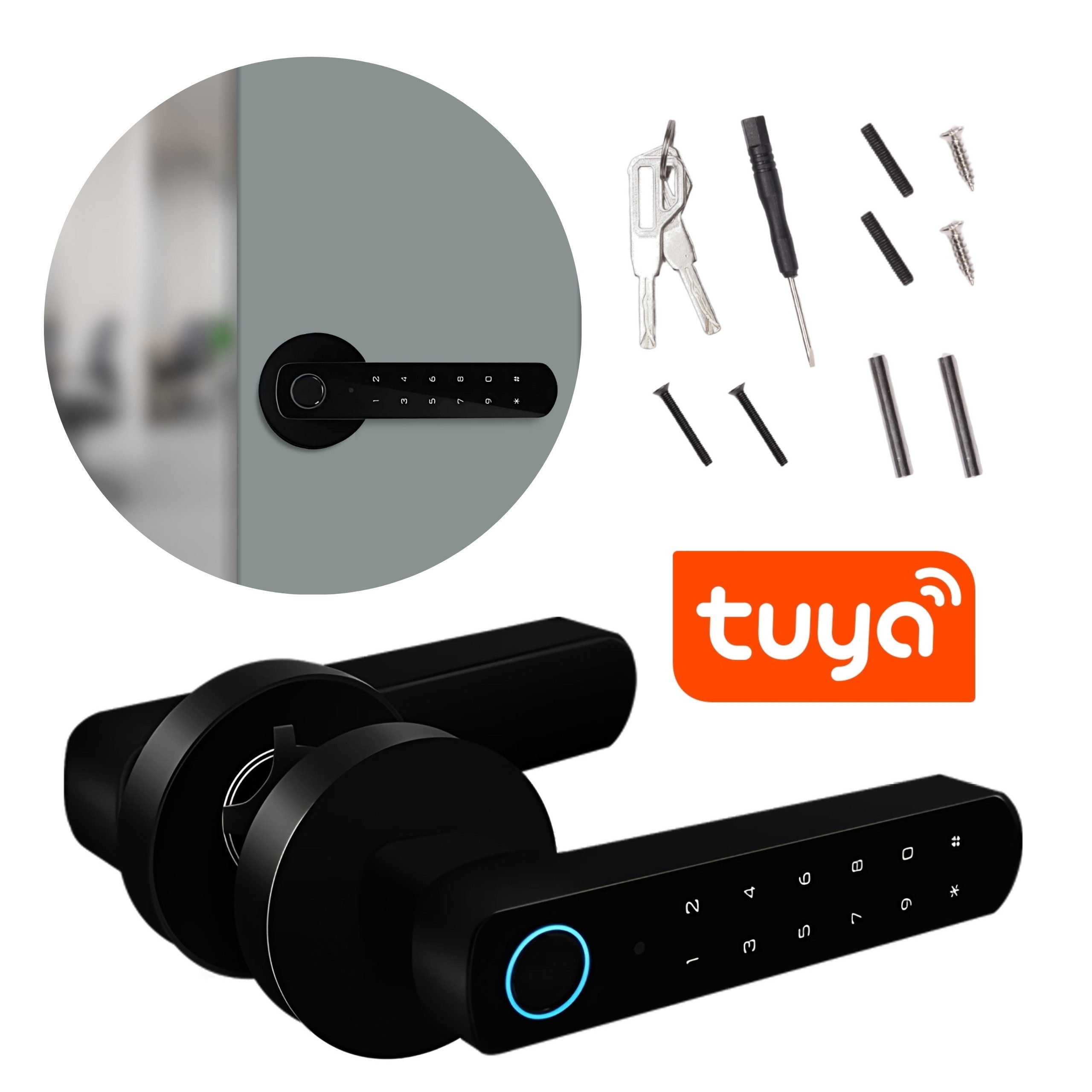 Türschlossantrieb Smartes elektronisches Türschloss, WiFi smart handle, biometrisch