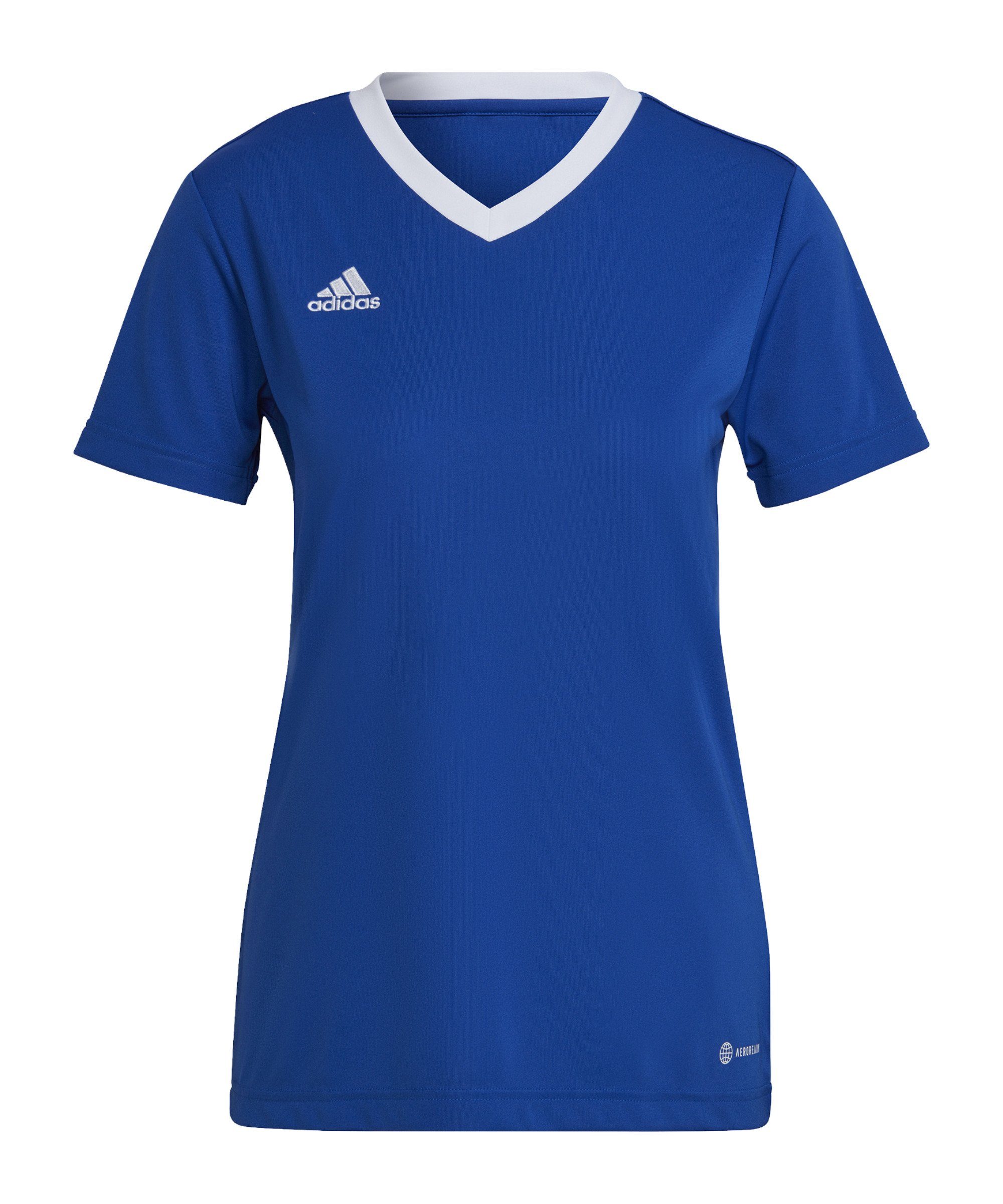 Team Royal Blue