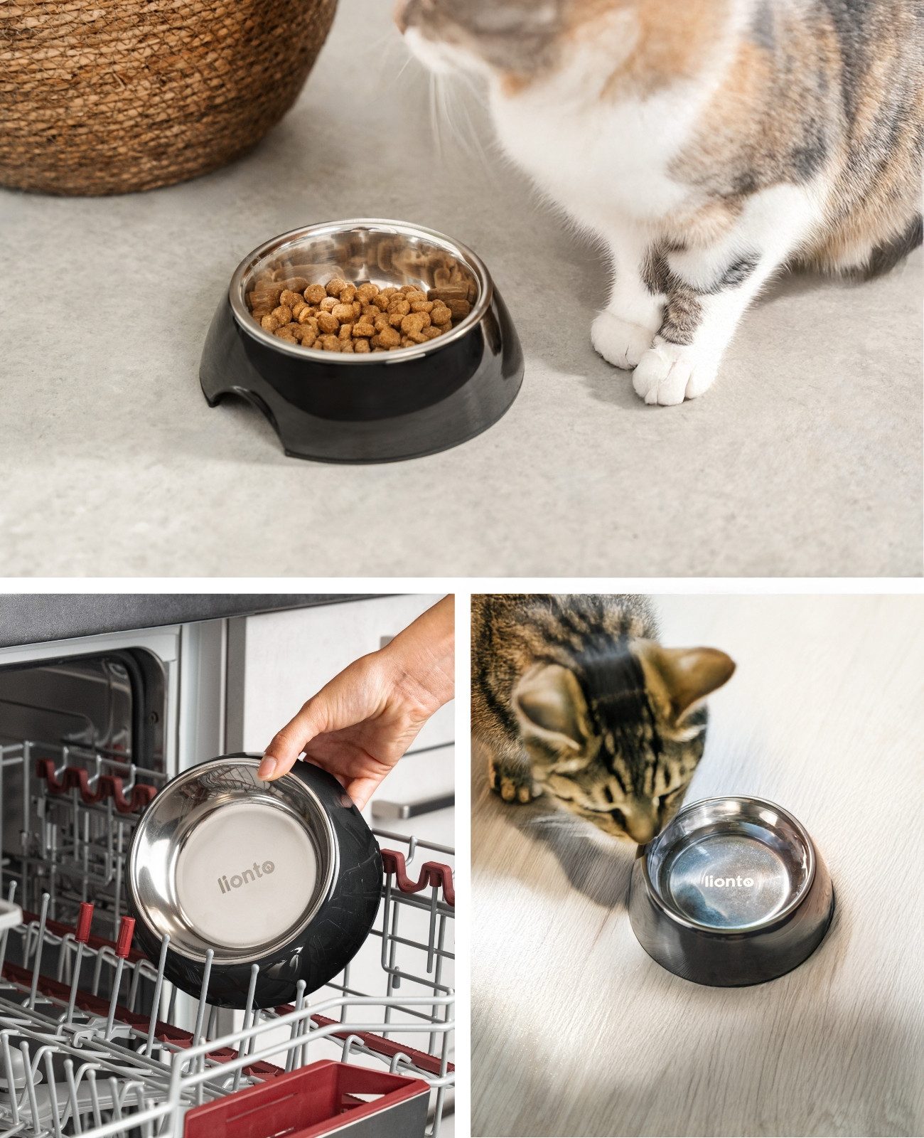 lionto Futternapf für Katzen, ergonomische Form, Edelstahlnapf im Melaminkorpus, langlebig & pflegeleicht, mit Anti-Rutsch-Ring