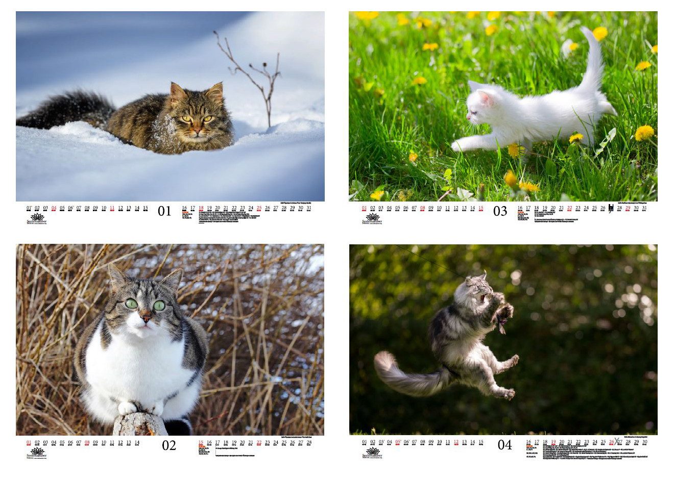 Seelenzauber Wandkalender Katzenzauber DIN A3 Kalender für 2026 KatzenKatzenbabys - Seelenzauber
