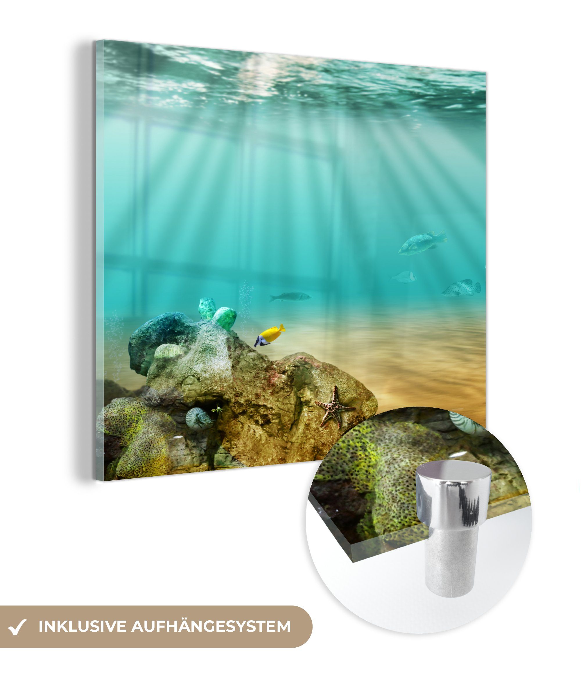 MuchoWow Acrylglasbild Meer - Fisch - Wasser, (1 St), Glasbilder - Bilder auf Glas Wandbild - Foto auf Glas - Wanddekoration