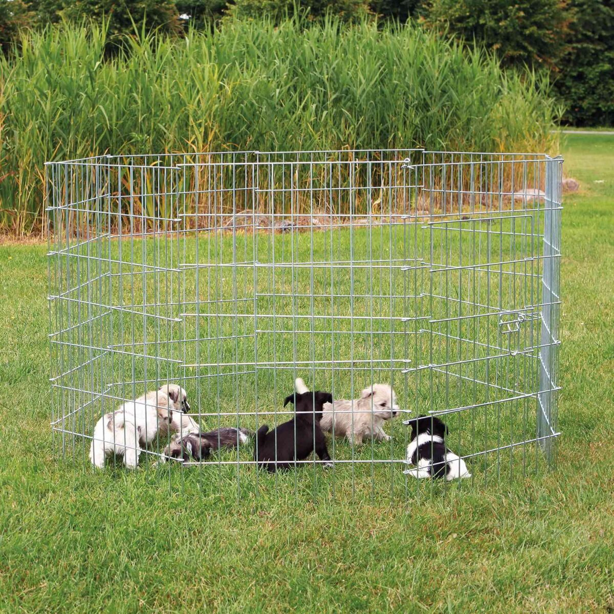 TRIXIE Freigehege Freilauf für kleine Hunde - diverse - ø 154 × 91 cm