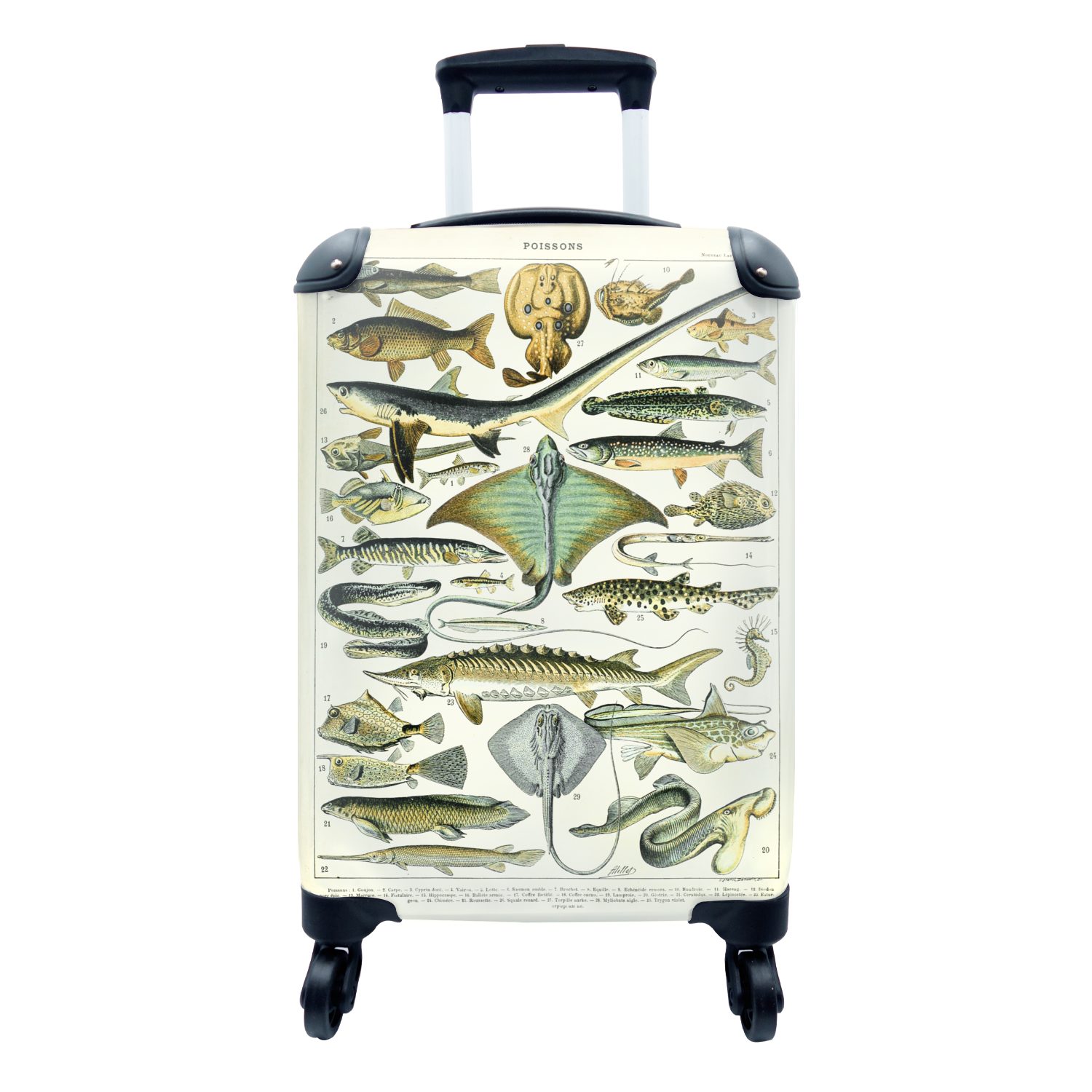 MuchoWow Handgepäckkoffer Tiere - Meerestiere - Vintage, 4 Rollen, Reisetasche mit rollen, Handgepäck für Ferien, Trolley, Reisekoffer