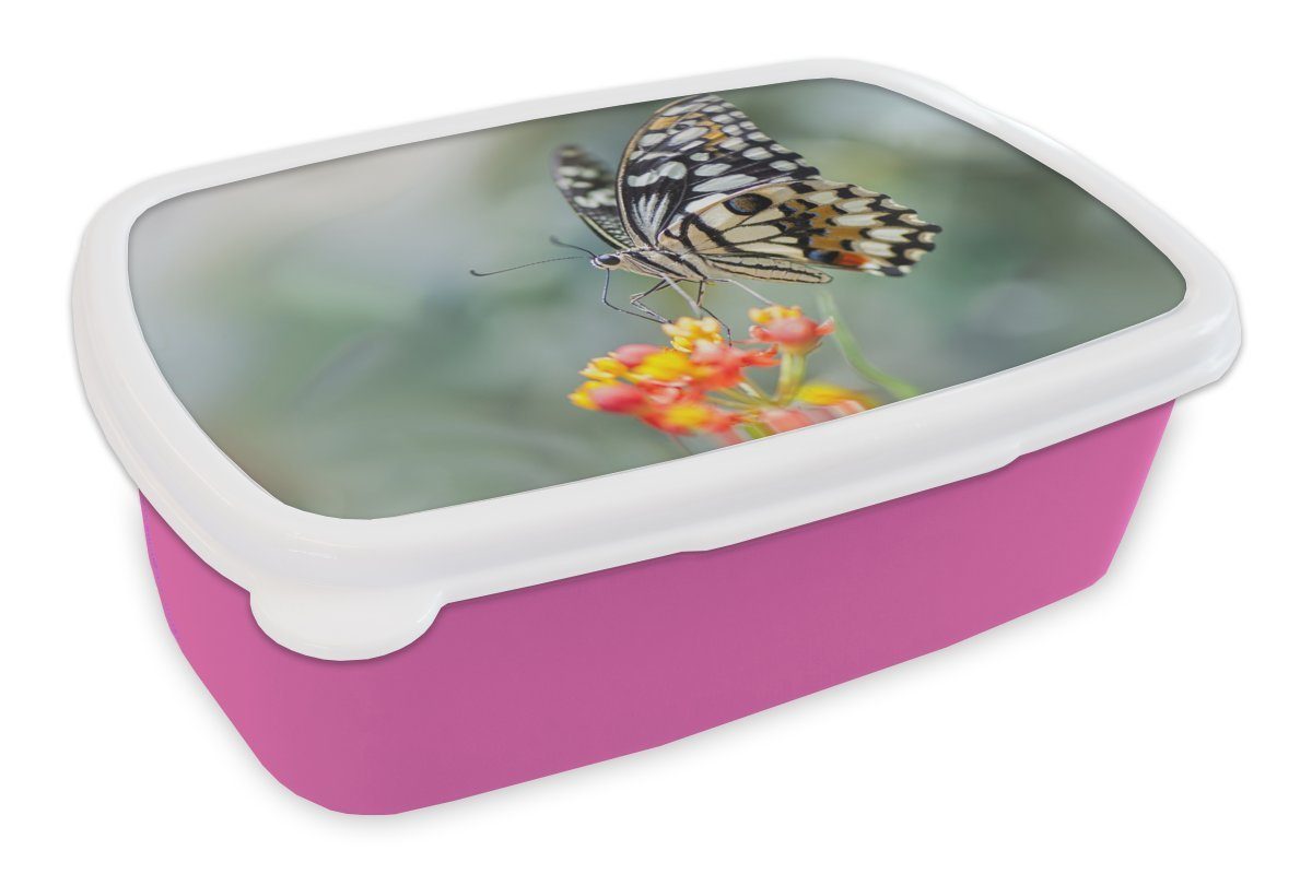 MuchoWow Lunchbox Seiten Schmetterling auf Blume, Kunststoff, (2-tlg), Brotbox für Erwachsene, Brotdose Kinder, Snackbox, Mädchen, Kunststoff rosa