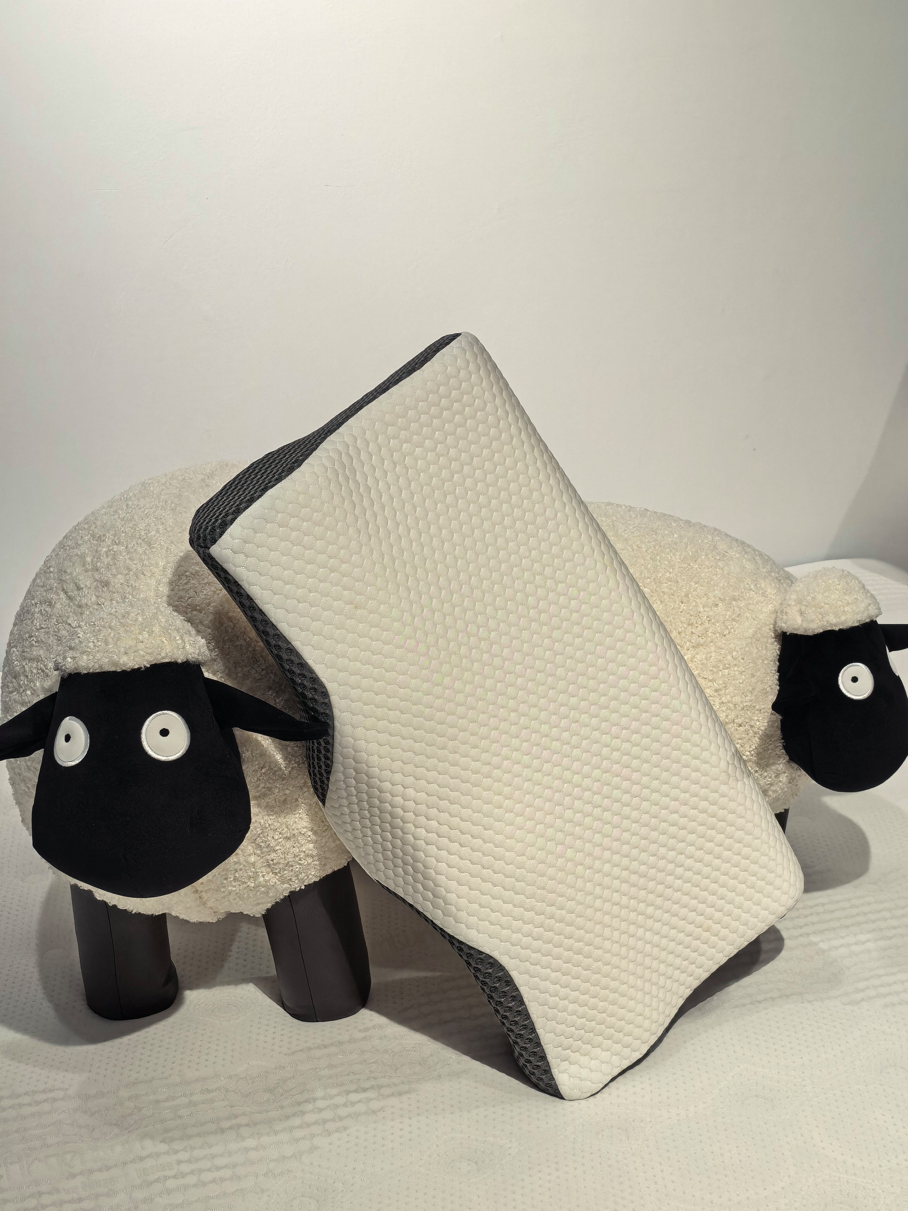 Esun Kopfkissen Orthopädisches Nackenkissen, Nackenstützkissen Seitenschläferkissen, Füllung: 100% Memory Foam, Set, atmungsaktiv und weich Ergonomisches Nackenstützkissen, Ergonomisches Kopfkissen