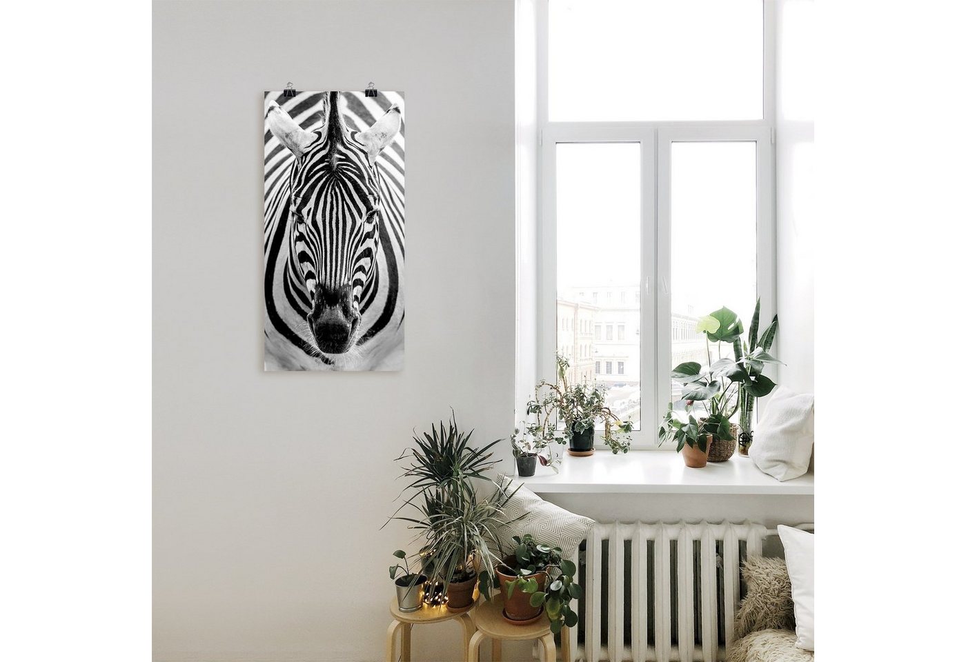Artland Wandbild »Zebra«, Wildtiere (1 Stück), in vielen Größen & Produktarten - Alubild / Outdoorbild für den Außenbereich, Leinwandbild, Poster, Wandaufkleber / Wandtattoo auch für Badezimmer geeignet-kaufen
