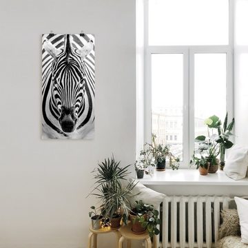 Artland Wandbild Zebra, Wildtiere (1 St), als Leinwandbild, Poster, Wandaufkleber in verschied. Größen