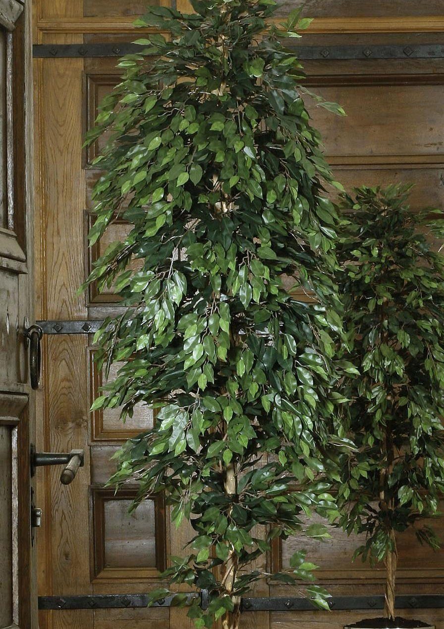 Kunstpflanze Ficus Creativ Benjamini, Benjamini Höhe 120 cm Ficus green