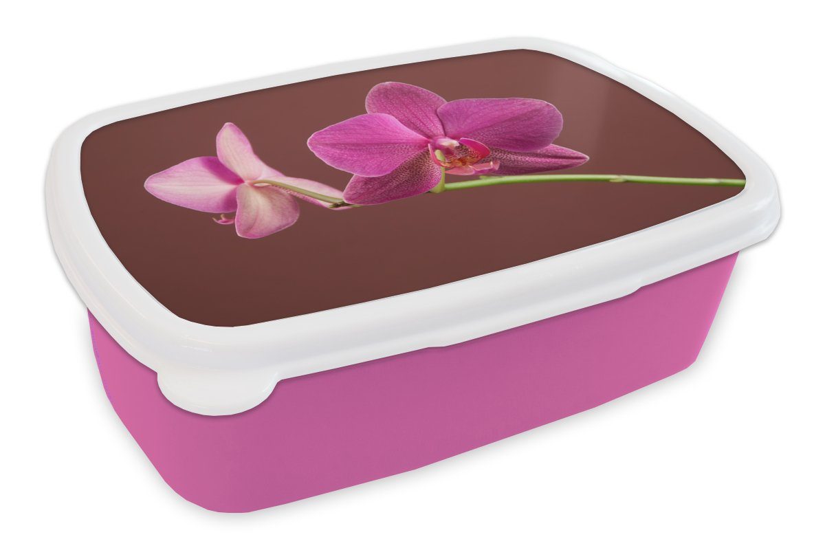 MuchoWow Lunchbox Blumen - Orchideen - Rosa, Kunststoff, (2-tlg), Brotbox für Erwachsene, Brotdose Kinder, Snackbox, Mädchen, Kunststoff