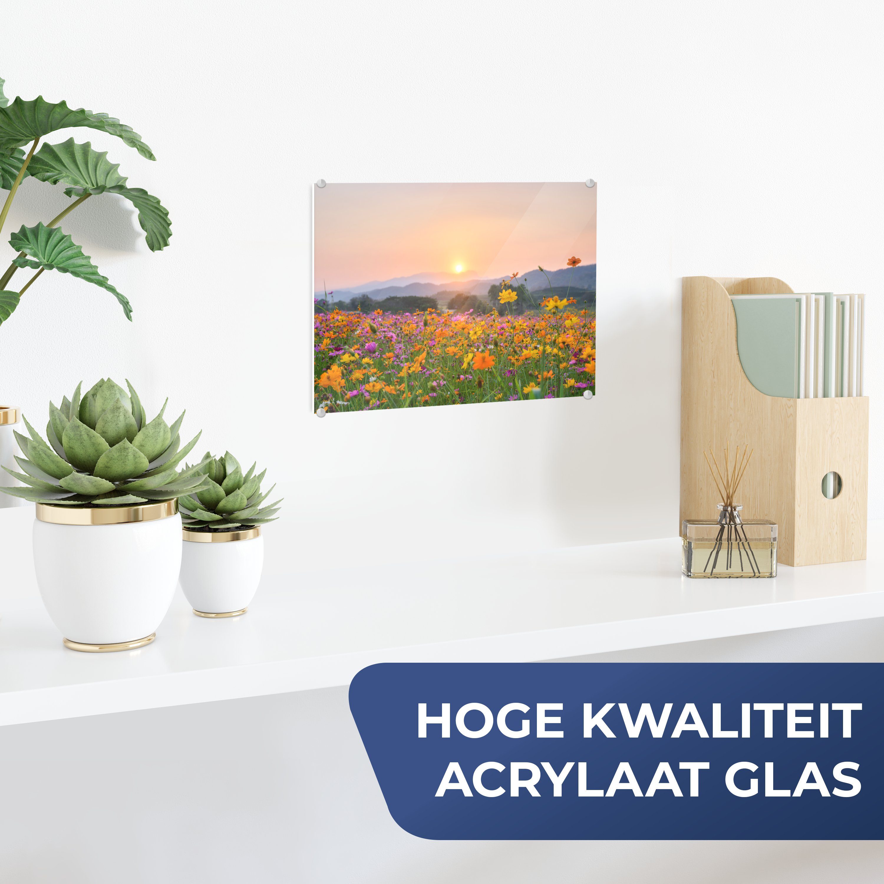 - - auf - Acrylglasbild Glas Bilder St), - auf MuchoWow - Wanddekoration (1 Glas Blumen Berg, Wandbild Foto Glasbilder Sonnenuntergang
