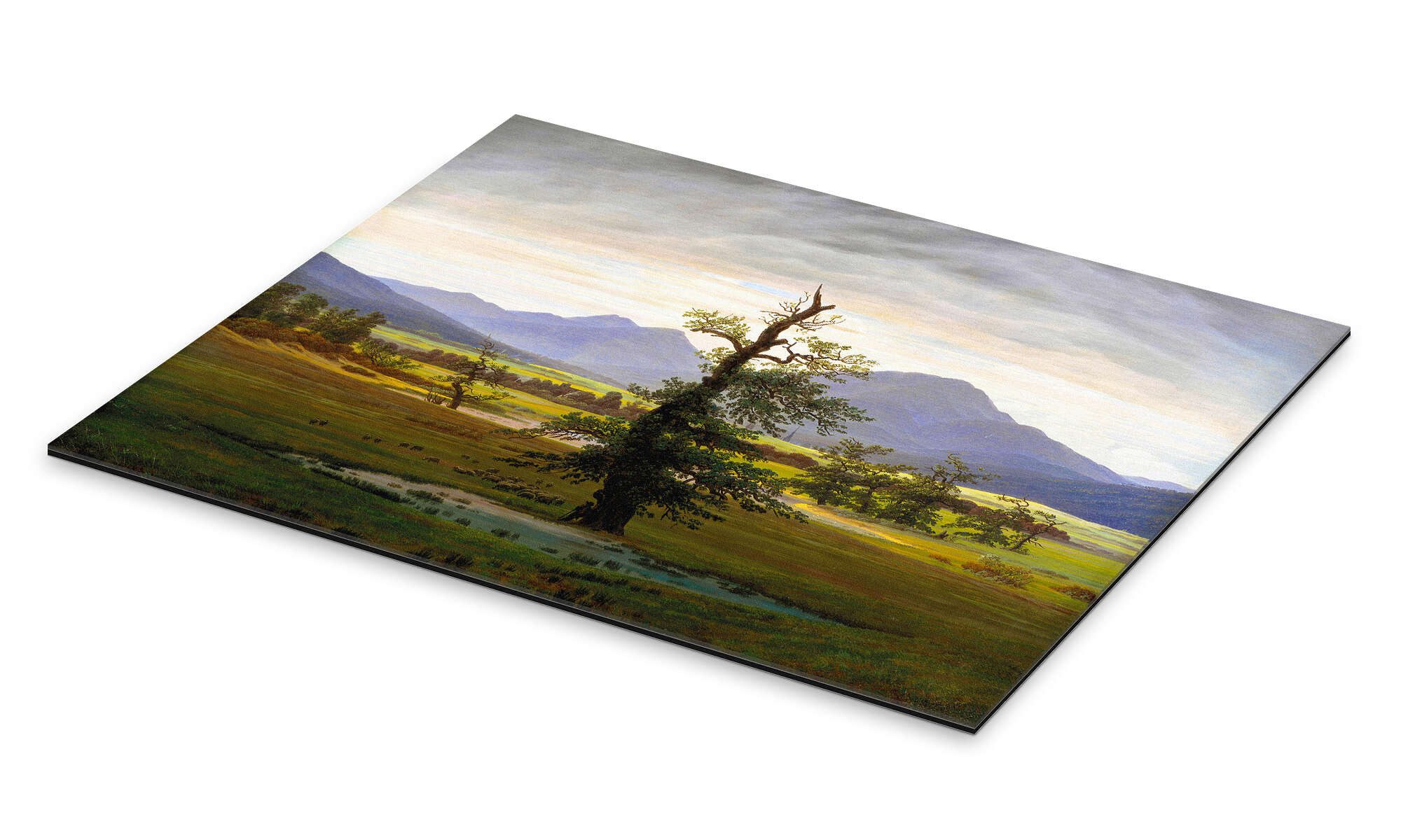 Posterlounge XXL-Wandbild Caspar David Friedrich, Einsamer günstig online kaufen