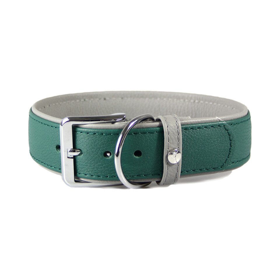 Das Lederband Hunde-Halsband Hundehalsband New York forest/stone