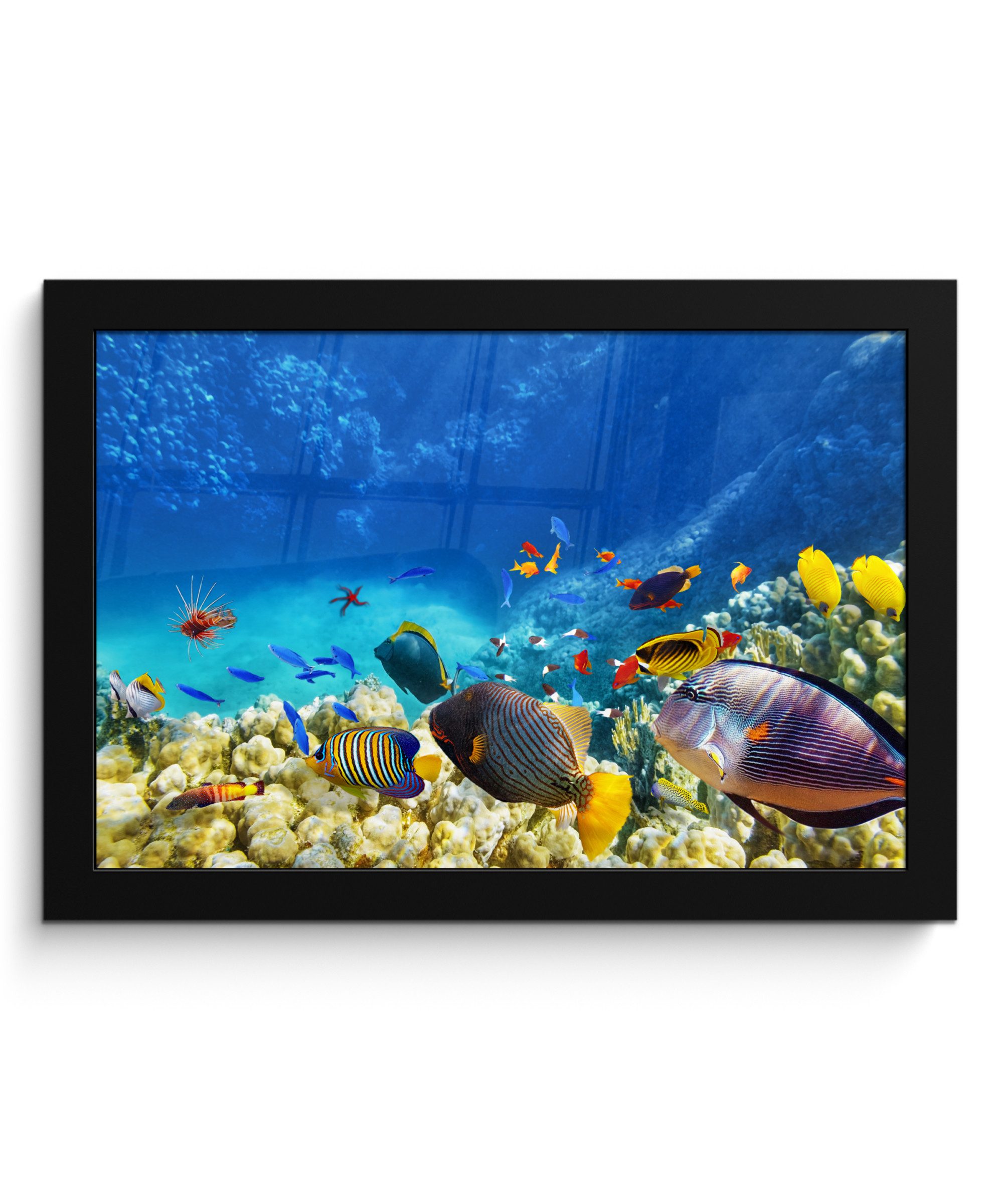 Poster Meer - Fische - Korallen - Unterwasserwelt