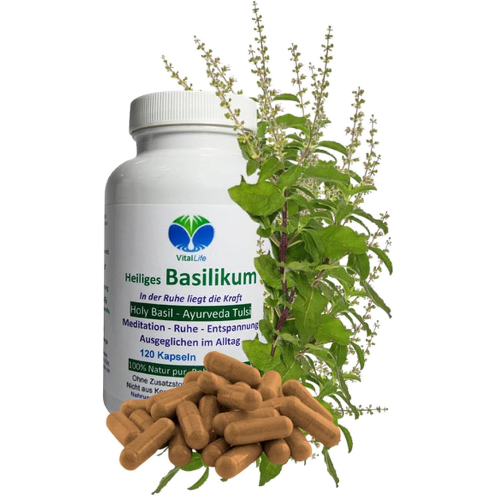 VitalLife Tulsi indisches Basilikum (Holy Basil) pur Ayurveda ohne Zusatzstoffe Kapseln, 1 er Dose à 120 St., 54 g, Art. 26700-120